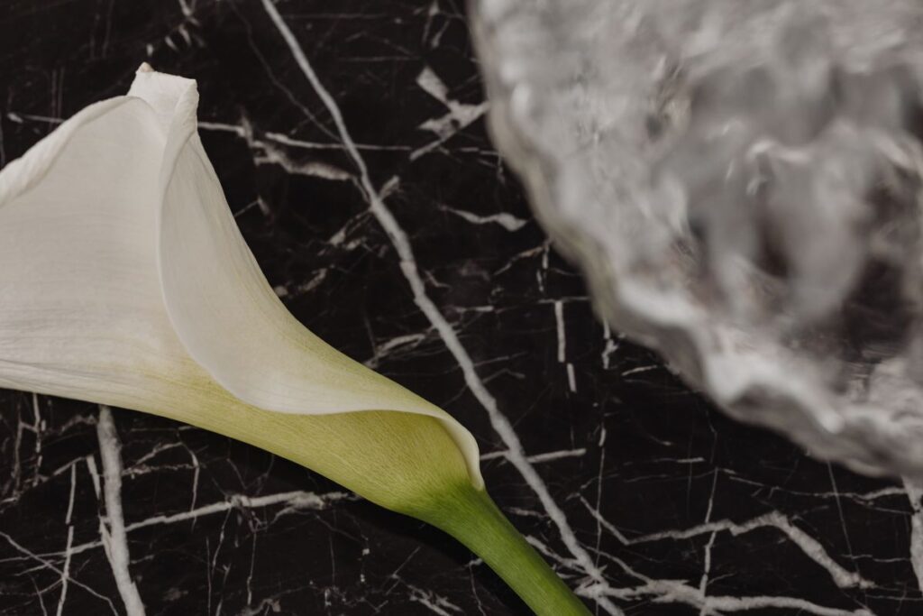 Modern minimal – Elegant Black Marble Table – White lily Stock Free