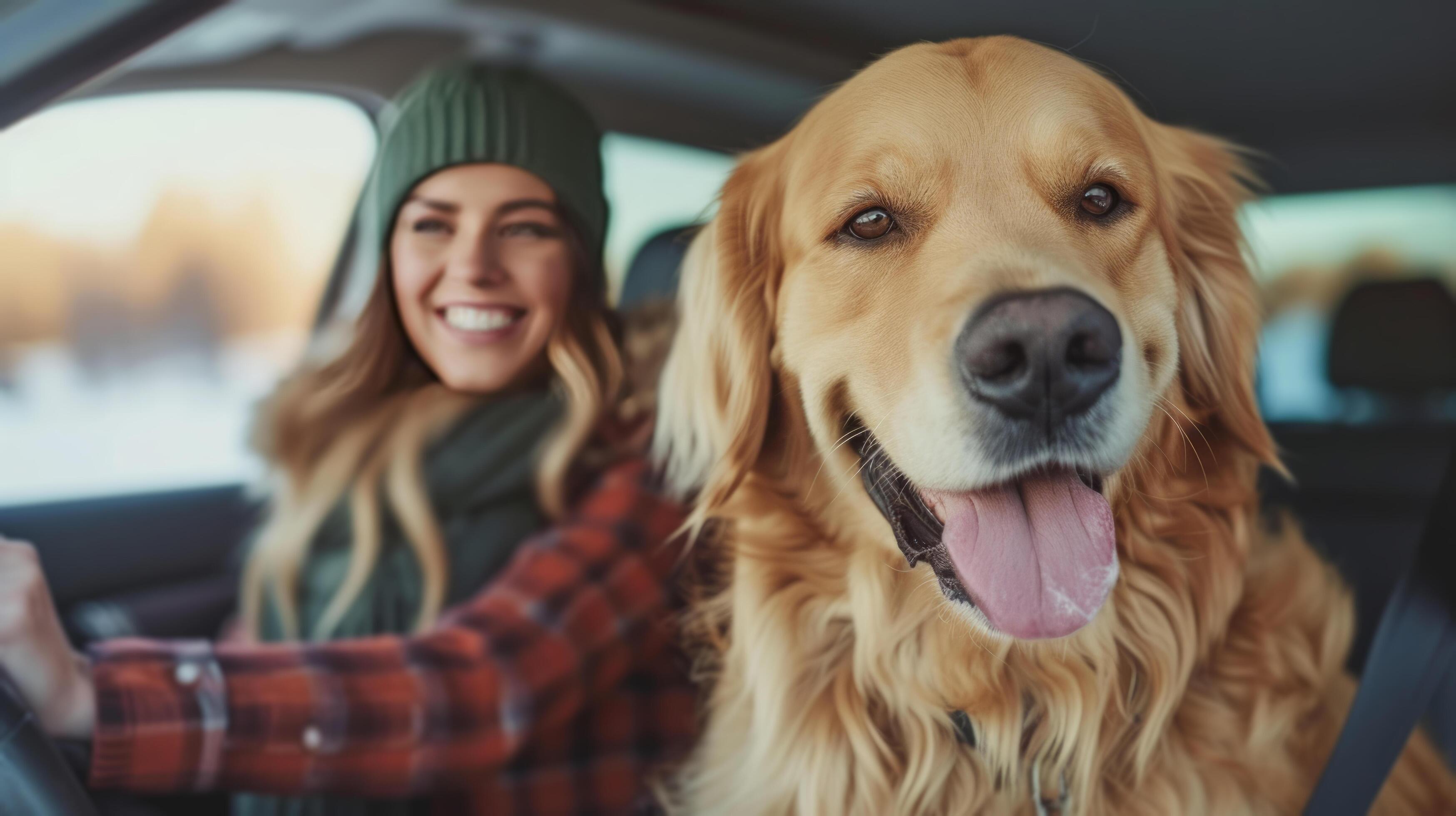 AI generated A young beautiful family is sitting in a car with their fluffy golden retriever dog Stock Free