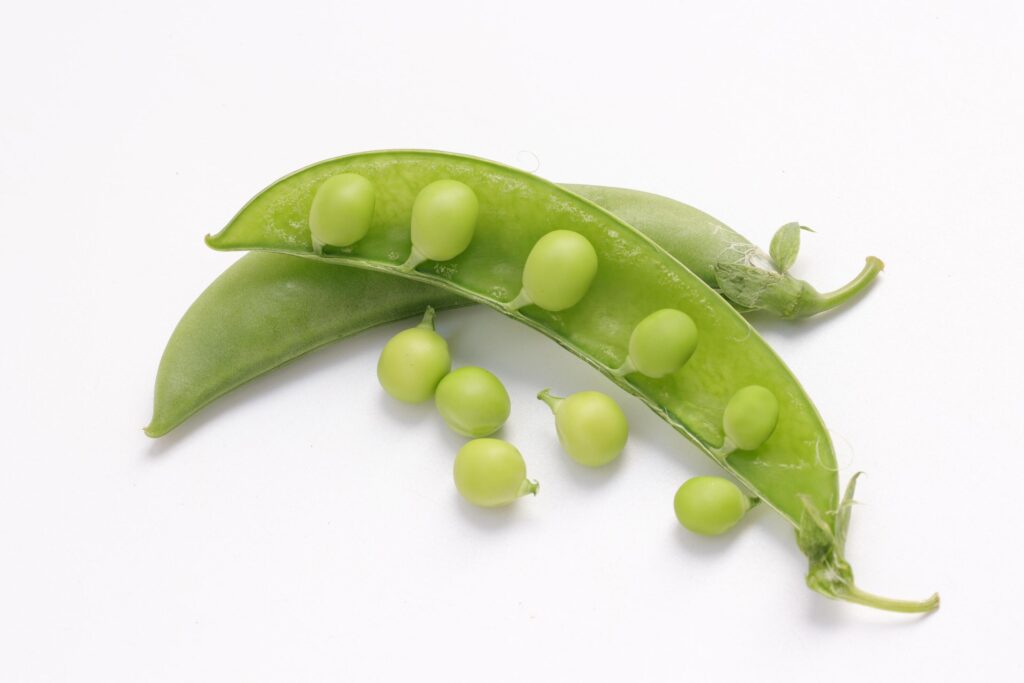 Pea on white background Stock Free