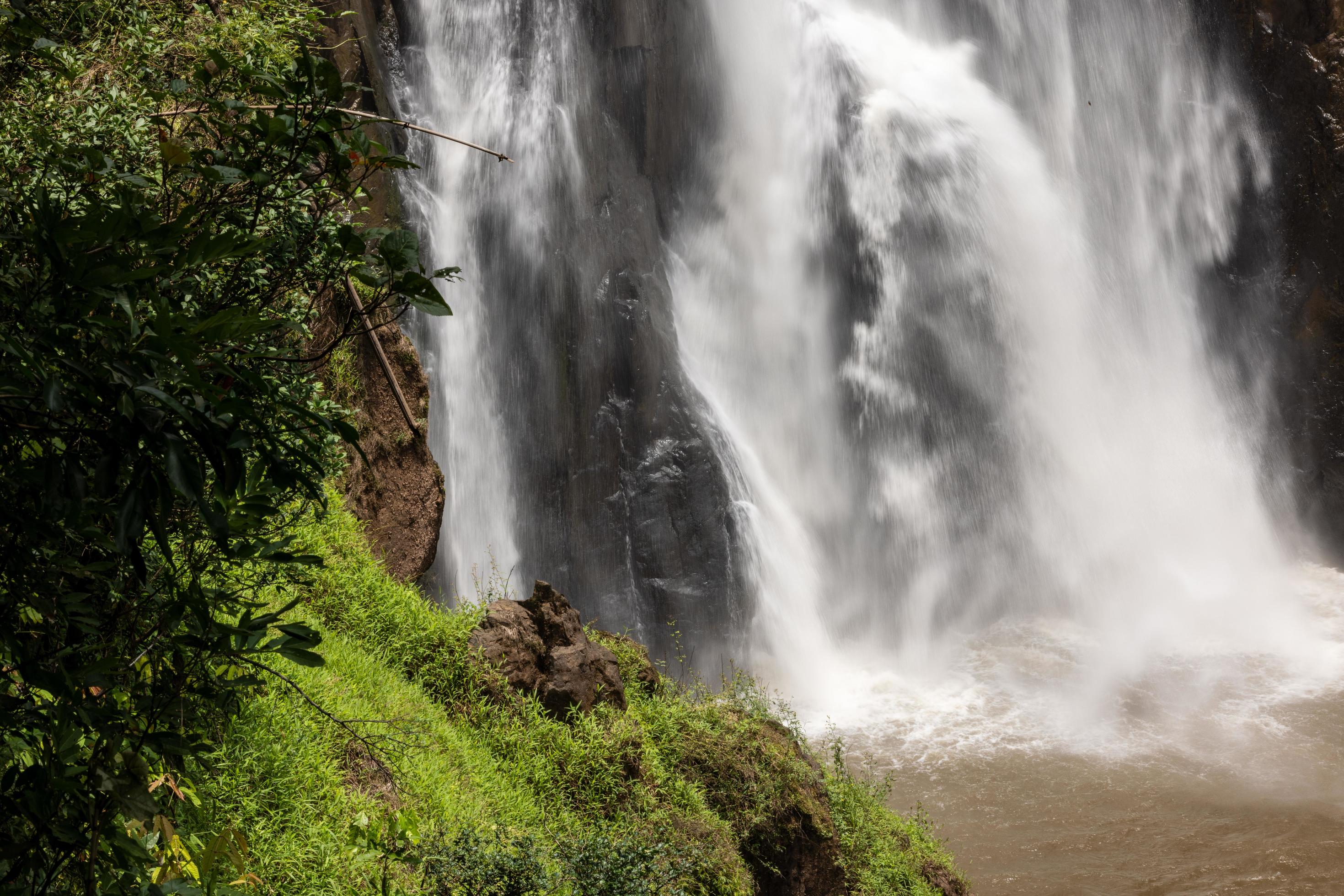 A natural waterfall in a big forest in the midst of beautiful nature. Stock Free