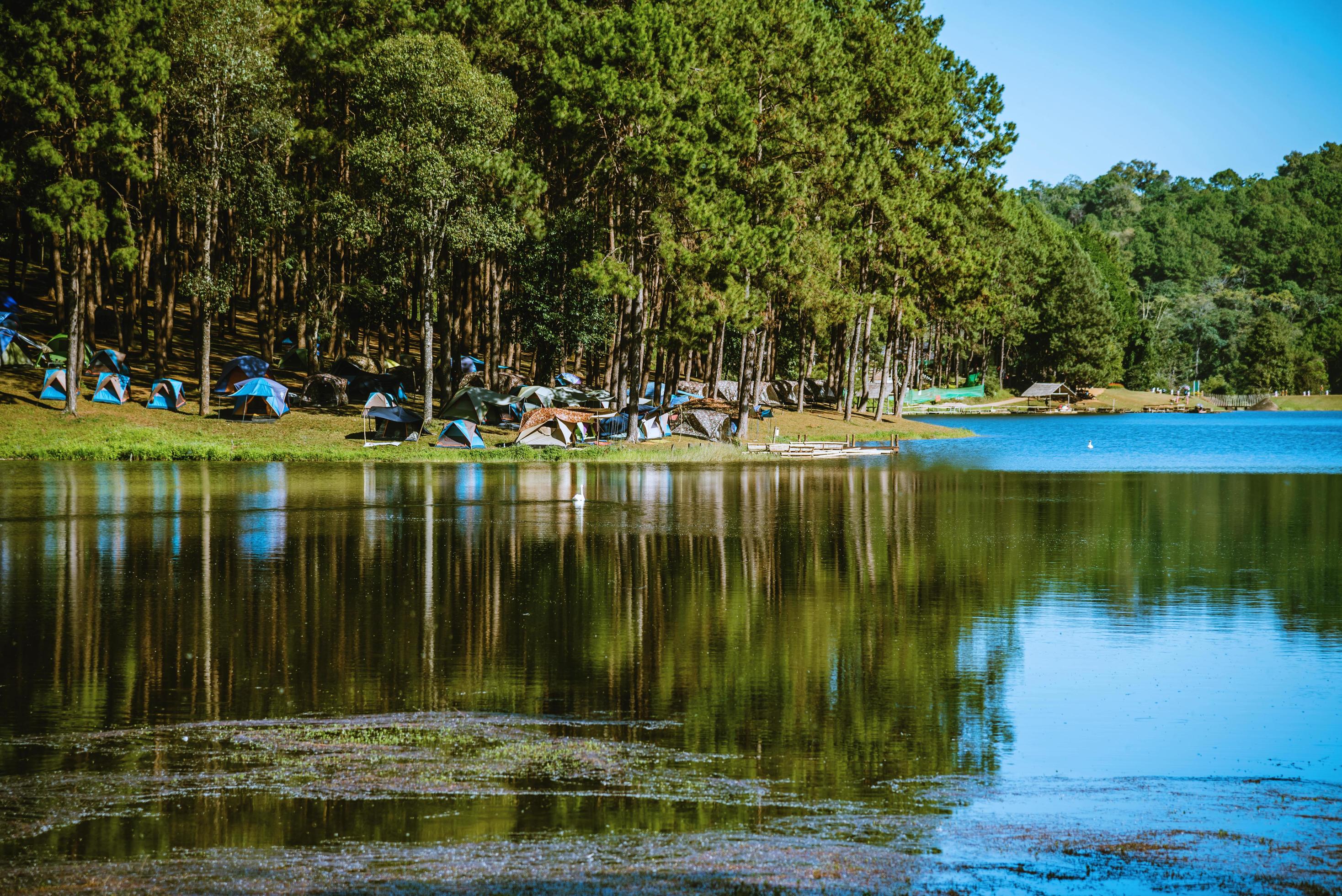 The beautiful natural landscape of the lake at pang ung, mae hong son in Thailand. Stock Free