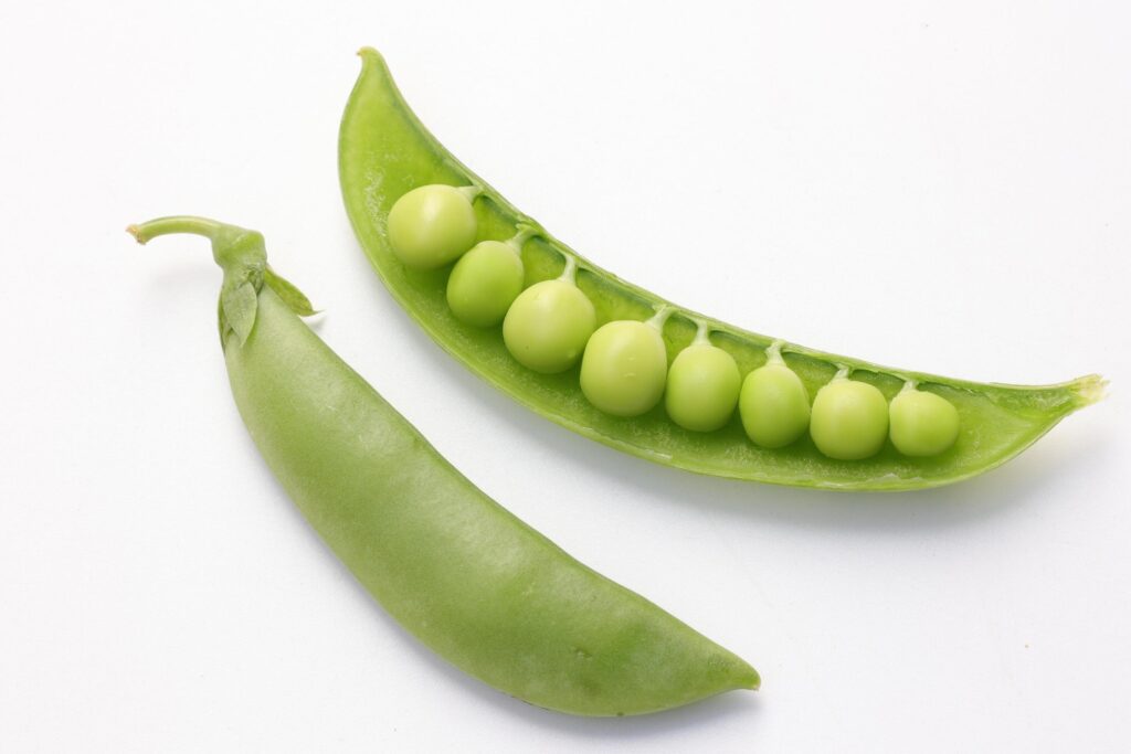 Pea on white background Stock Free