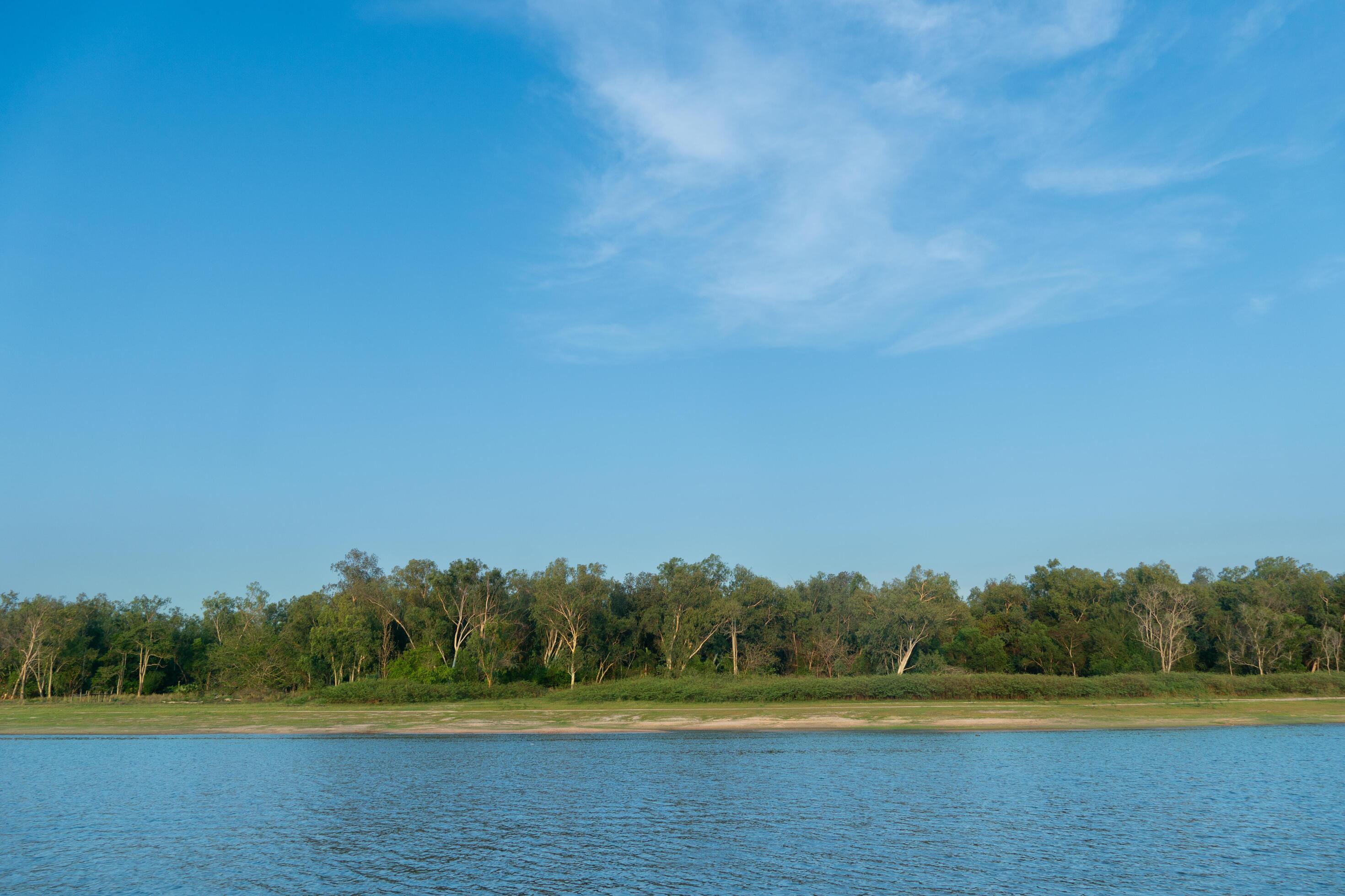 Horizontal and landscape view of river. With background of coast is covered with grass and forests. Under blue sky and soft white clouds. Stock Free