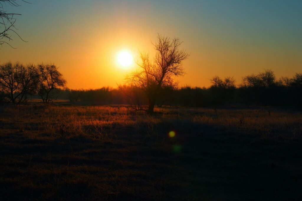 Backlit Stock Free