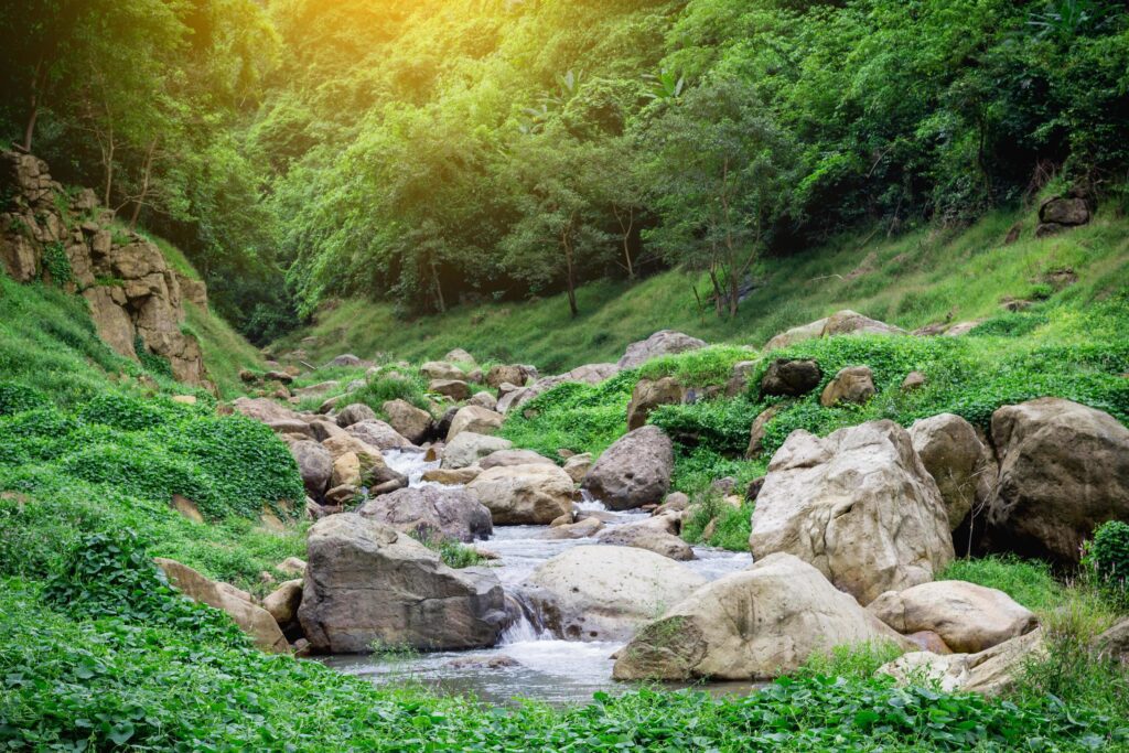 Jungle waterfall soft water of the stream in the natural park, Beautiful waterfall in rain forest Stock Free