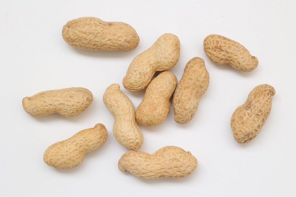 Peanut on white background Stock Free