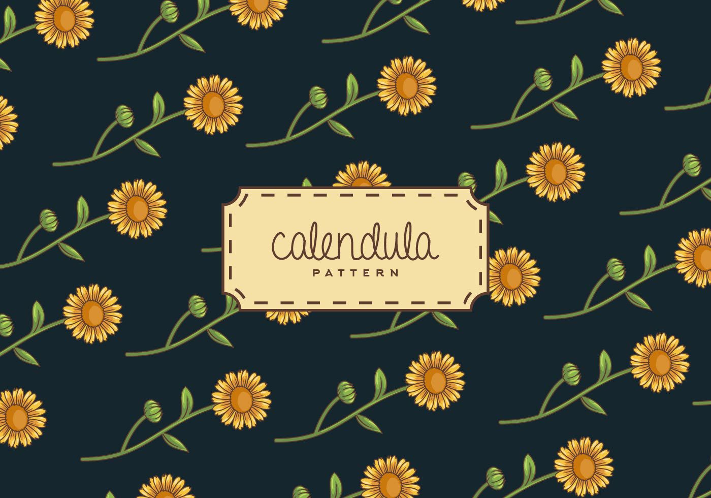 Calendula Background Free Vector and Free SVG