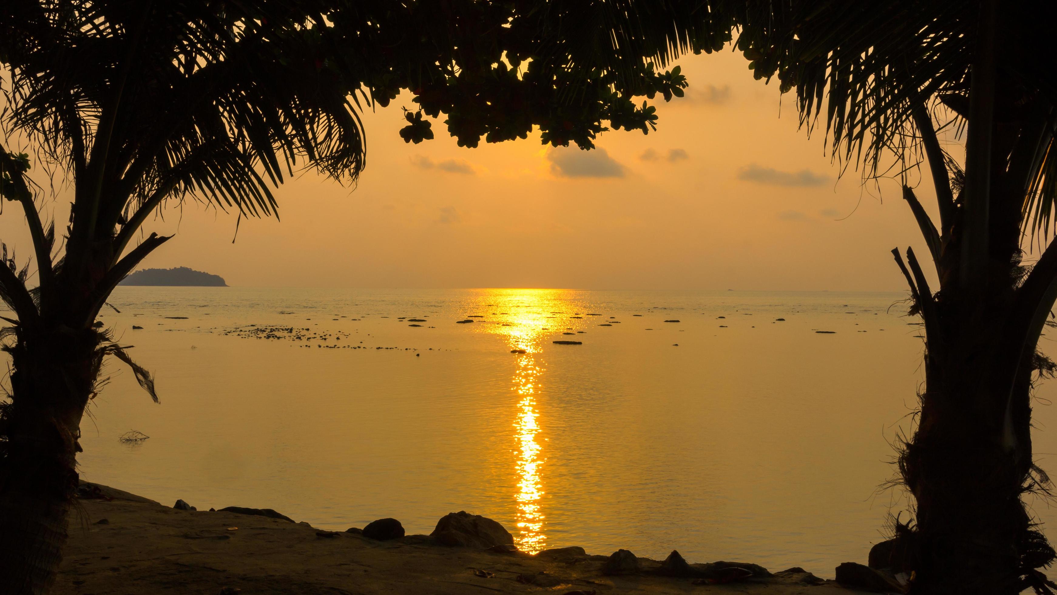 Natural silhouette of a sea view at sunset with trees framed in orange tones, nobody, copy space. Stock Free