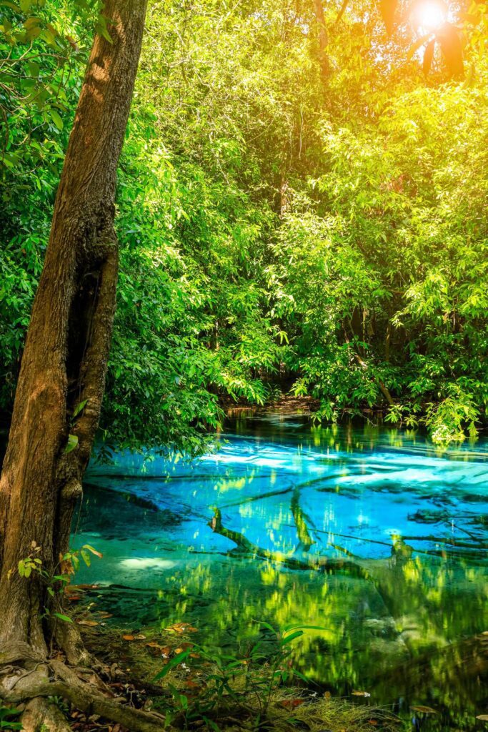 Blue Pool, turquoise crystal clear spring hidden in middle of forest, Krabi, Thailand Stock Free