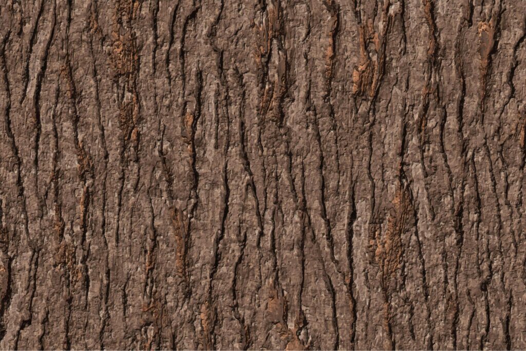 long bark texture background Stock Free