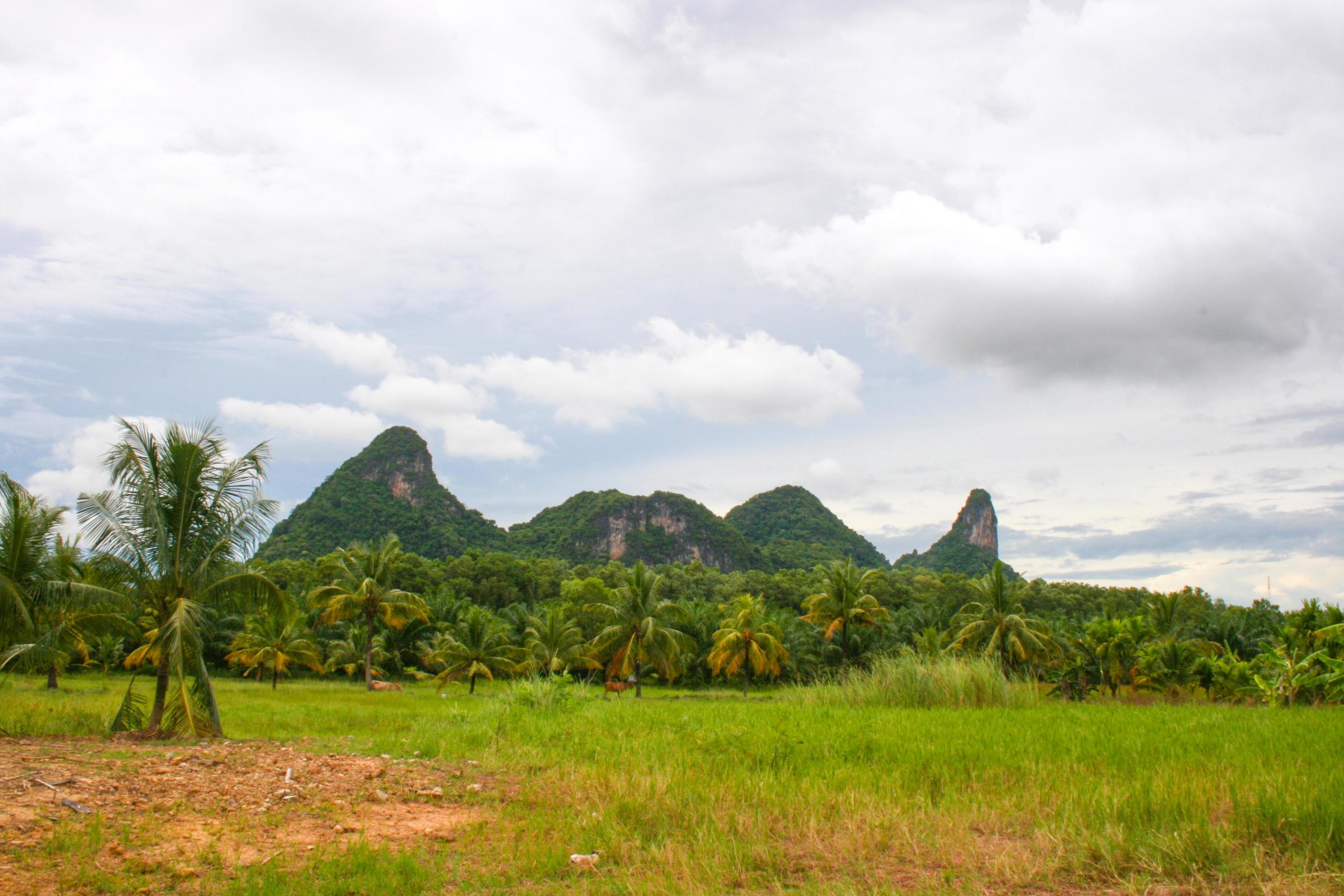 mountains in Phatthalung beauty nature and palm tree in south Thailand Stock Free