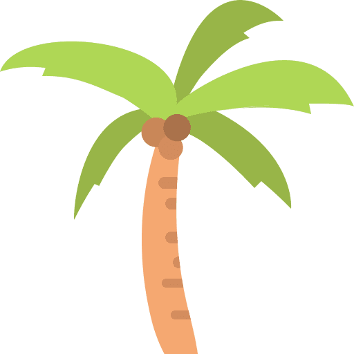 Summer, palm tree, tropical icon