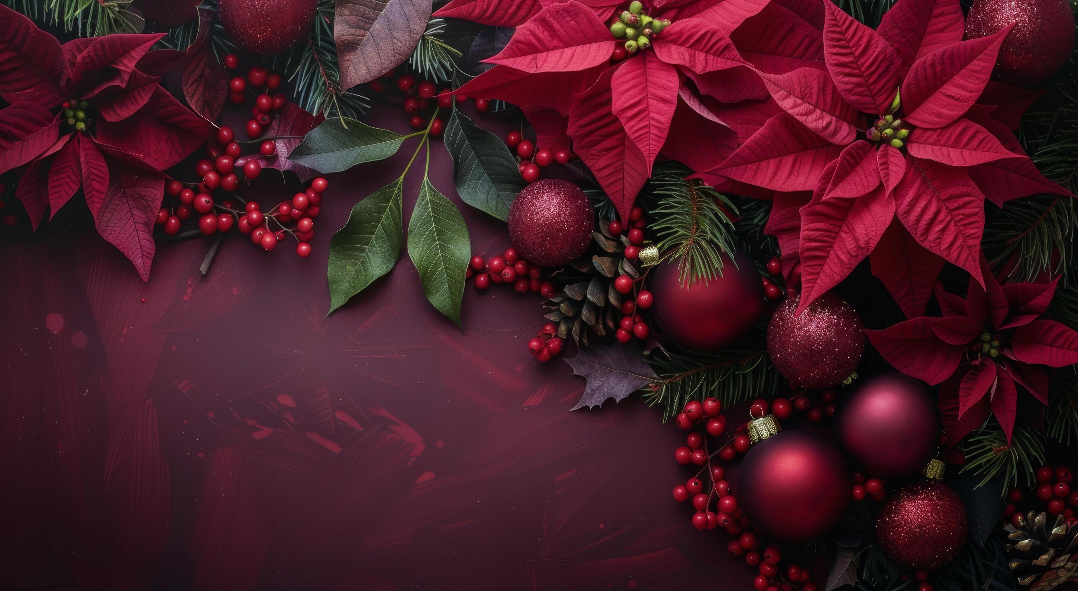 Christmas Decorations With Holly, Poinsettia, and Pine Cones on a Red Background Stock Free