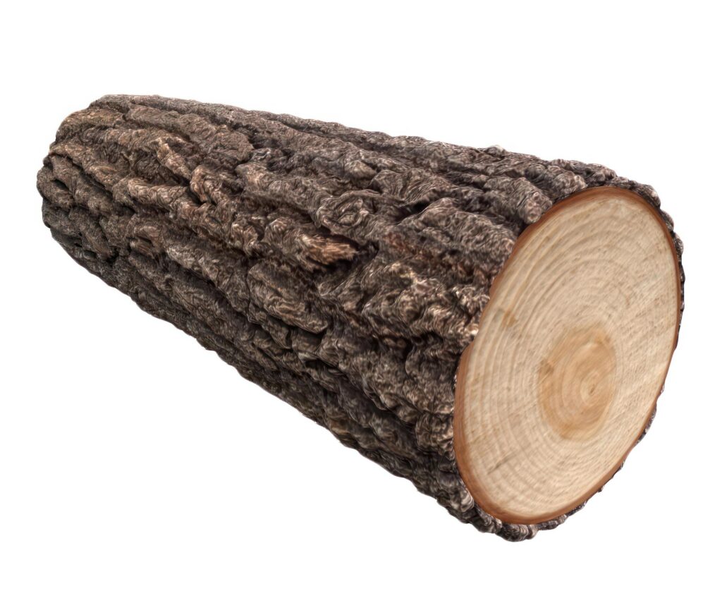 Pine Tree wood stumps on ground after being cut with real wood texture background. Stock Free