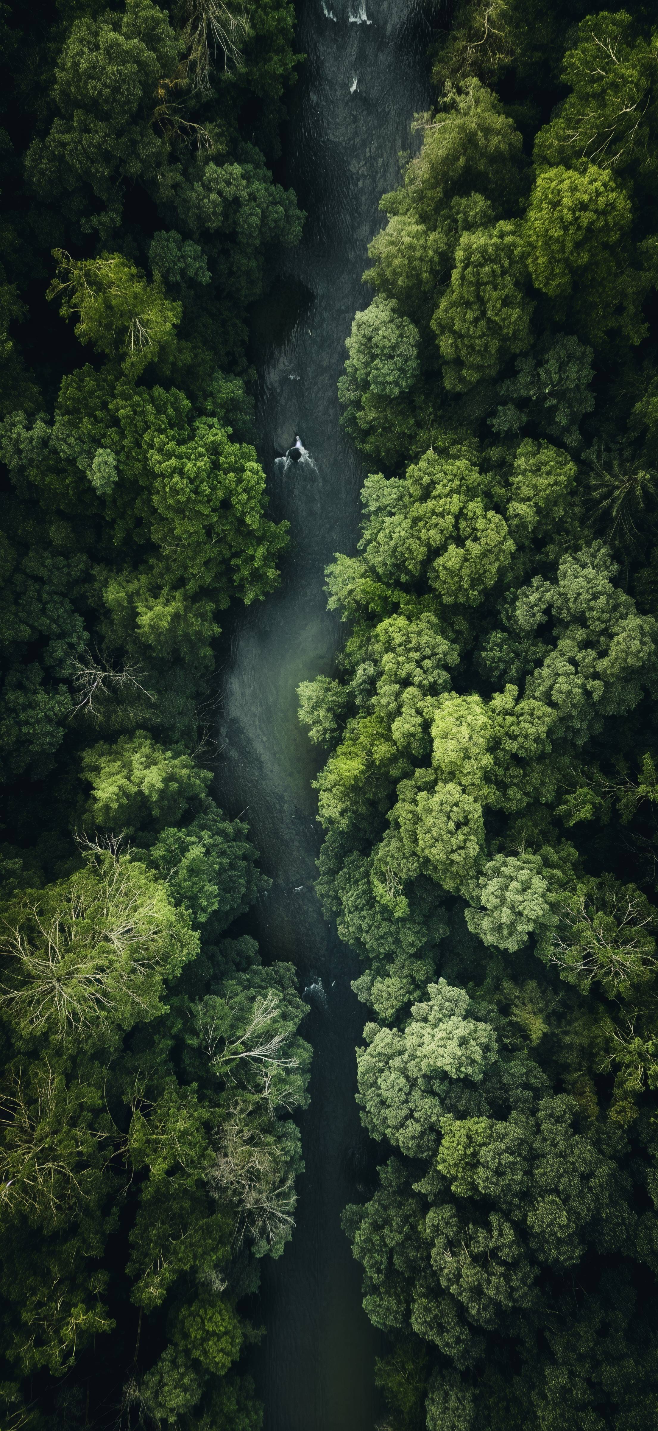 River in the Forest Drone Top View Stock Free