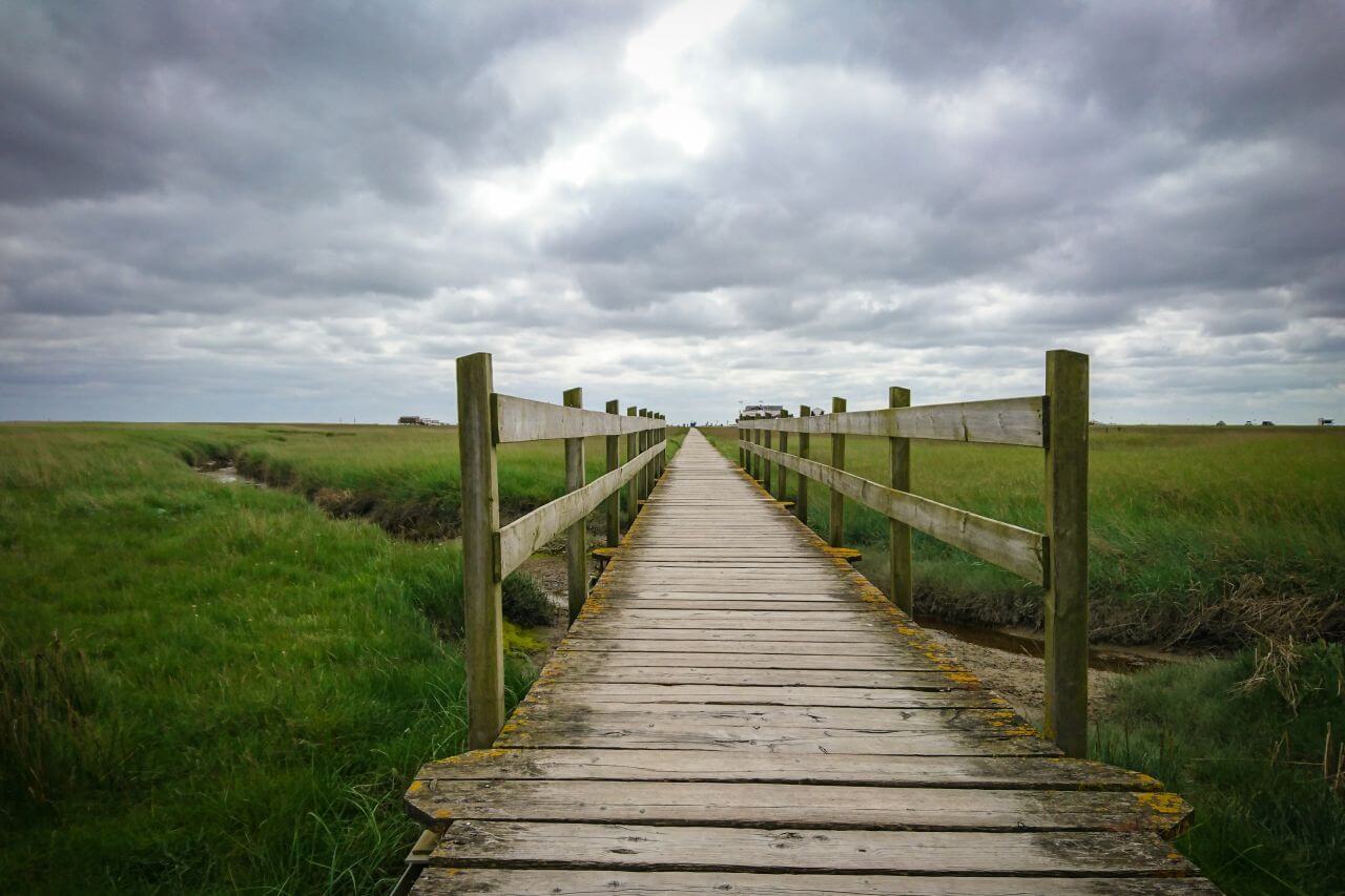 Boardwalk Stock Free