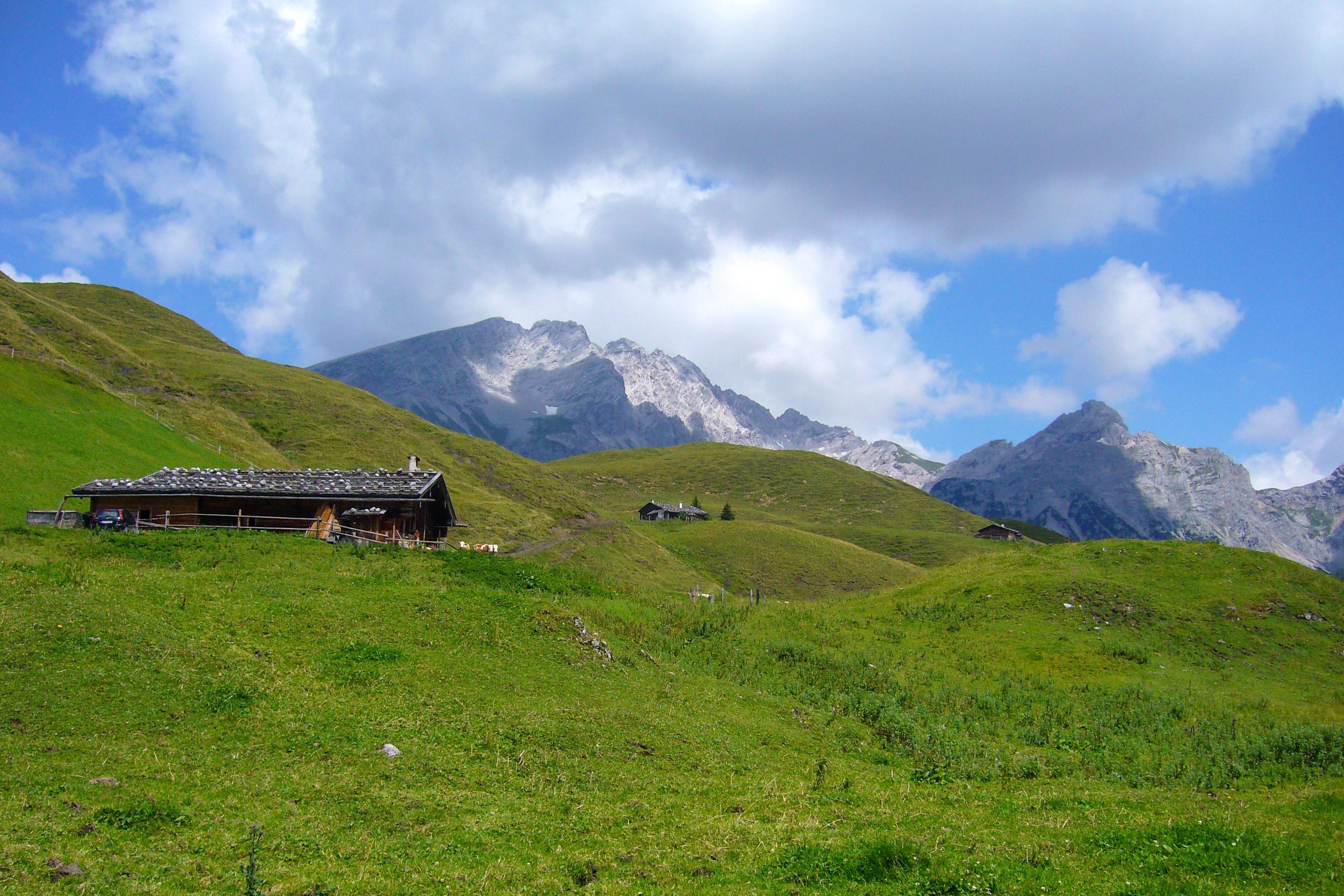 beautiful nature scenery at kallbrunn alm, austria Stock Free