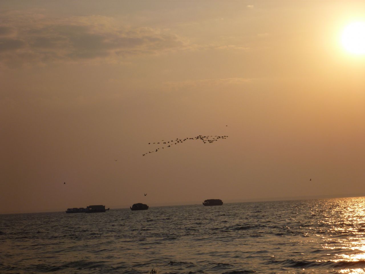 Birds Boats Sun Sea Stock Free