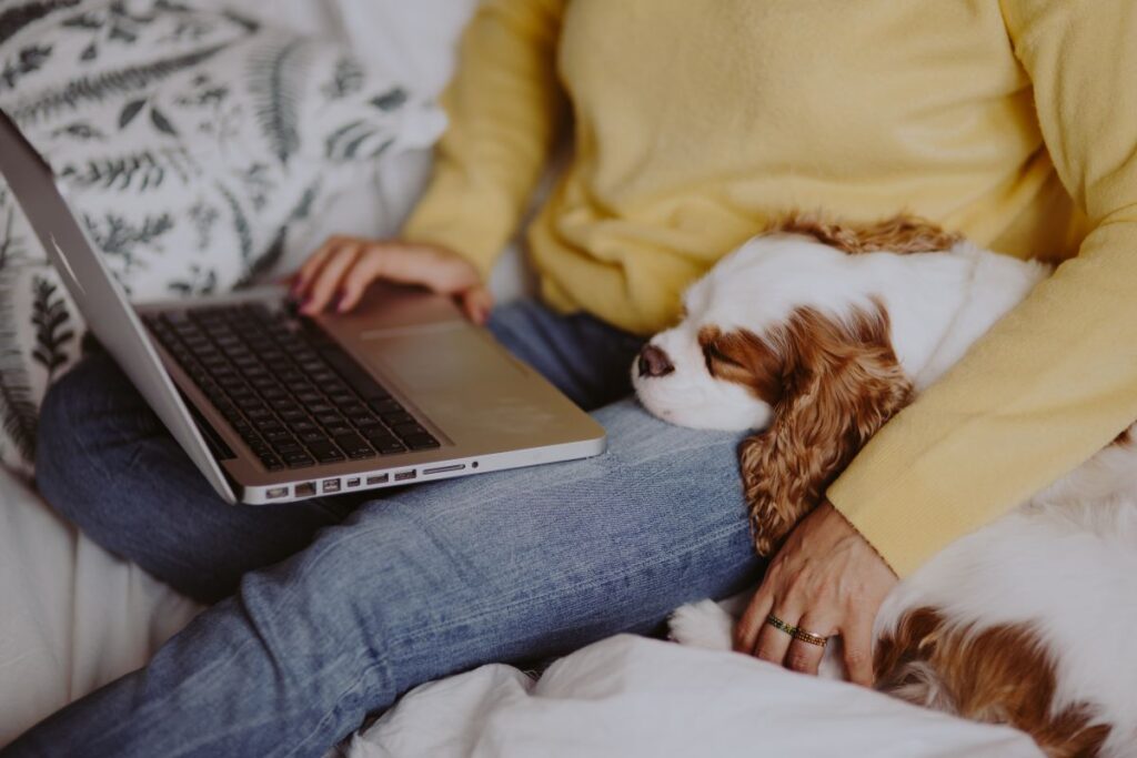 
									A woman in a yellow sweater with a sweet dog uses a laptop Stock Free