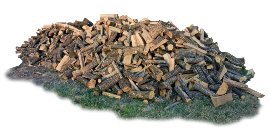 Pine Tree wood stumps on ground after being cut with real wood texture background. Stock Free