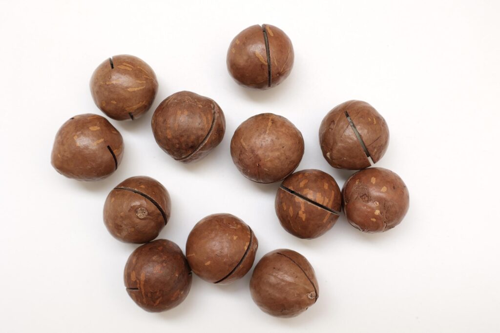 Macadamia nuts seeds background Stock Free