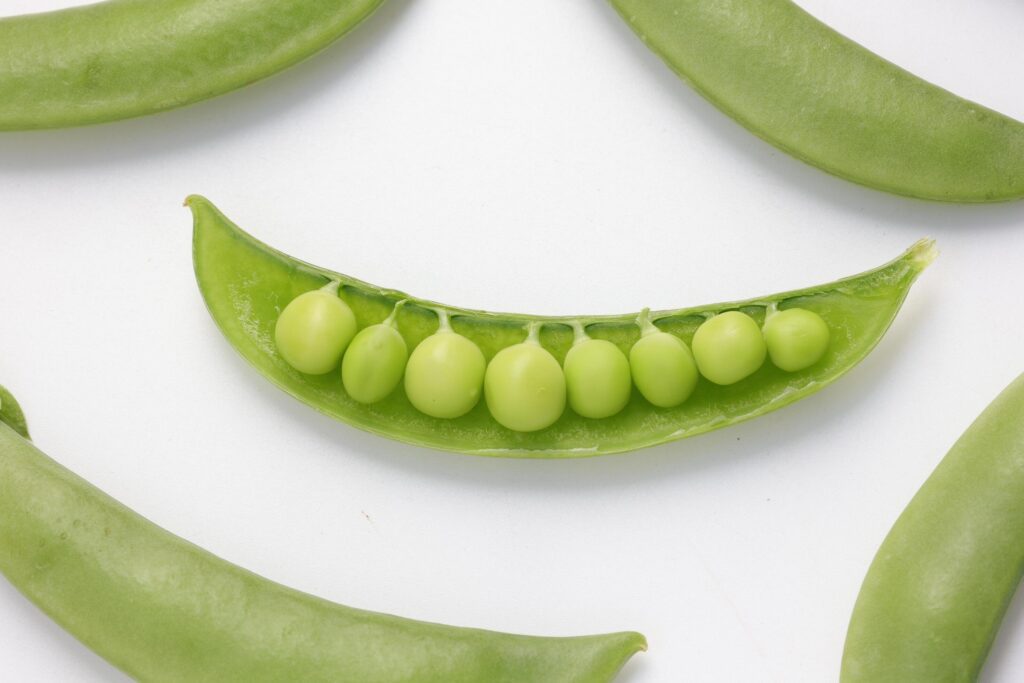 Pea on white background Stock Free