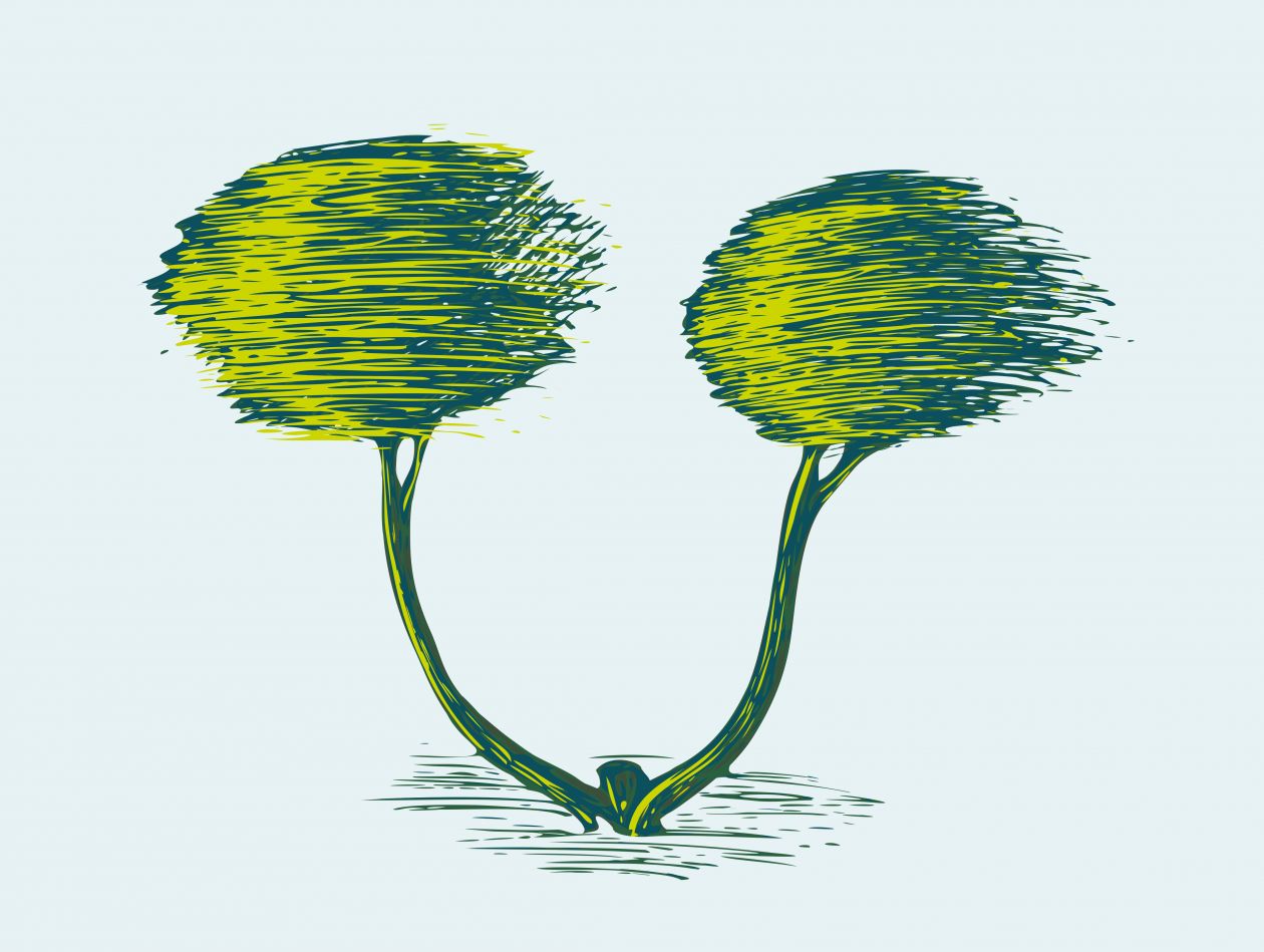 Bright painted trees. Vector stylized image. Freehand drawn picture. Green, blue and yellow colors. Stock Free