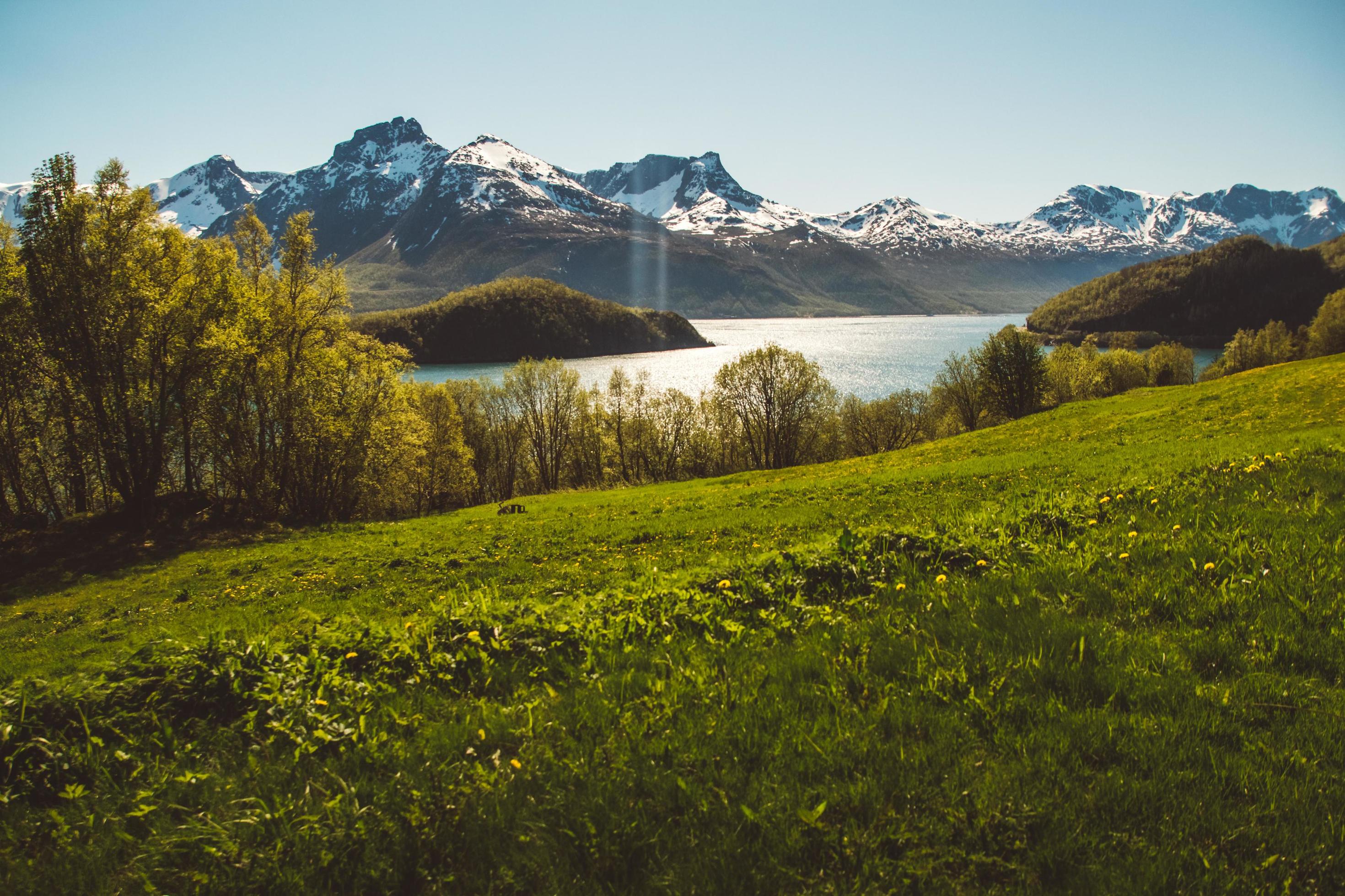 Norway mountains and landscapes on the islands Lofoten. Natural scandinavian landscape. Place for text or advertising Stock Free