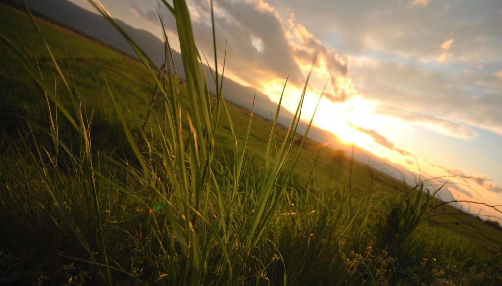 beautiful sunset in nature Stock Free