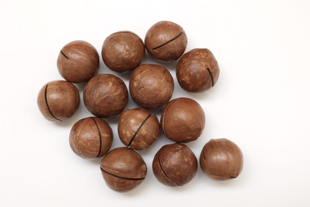 Macadamia nuts seeds background Stock Free