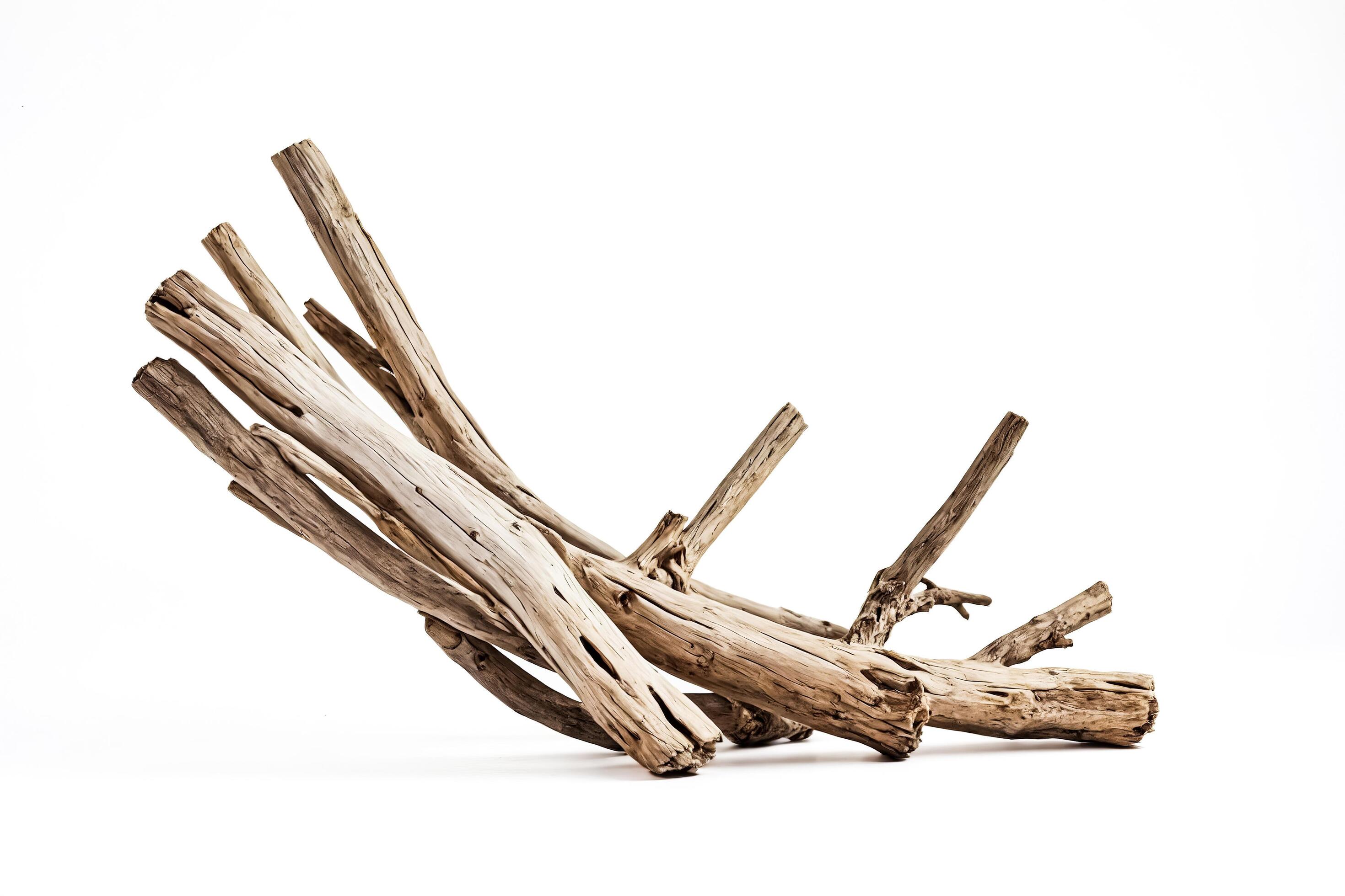 Dry Driftwood Branches Isolated on White Background Stock Free