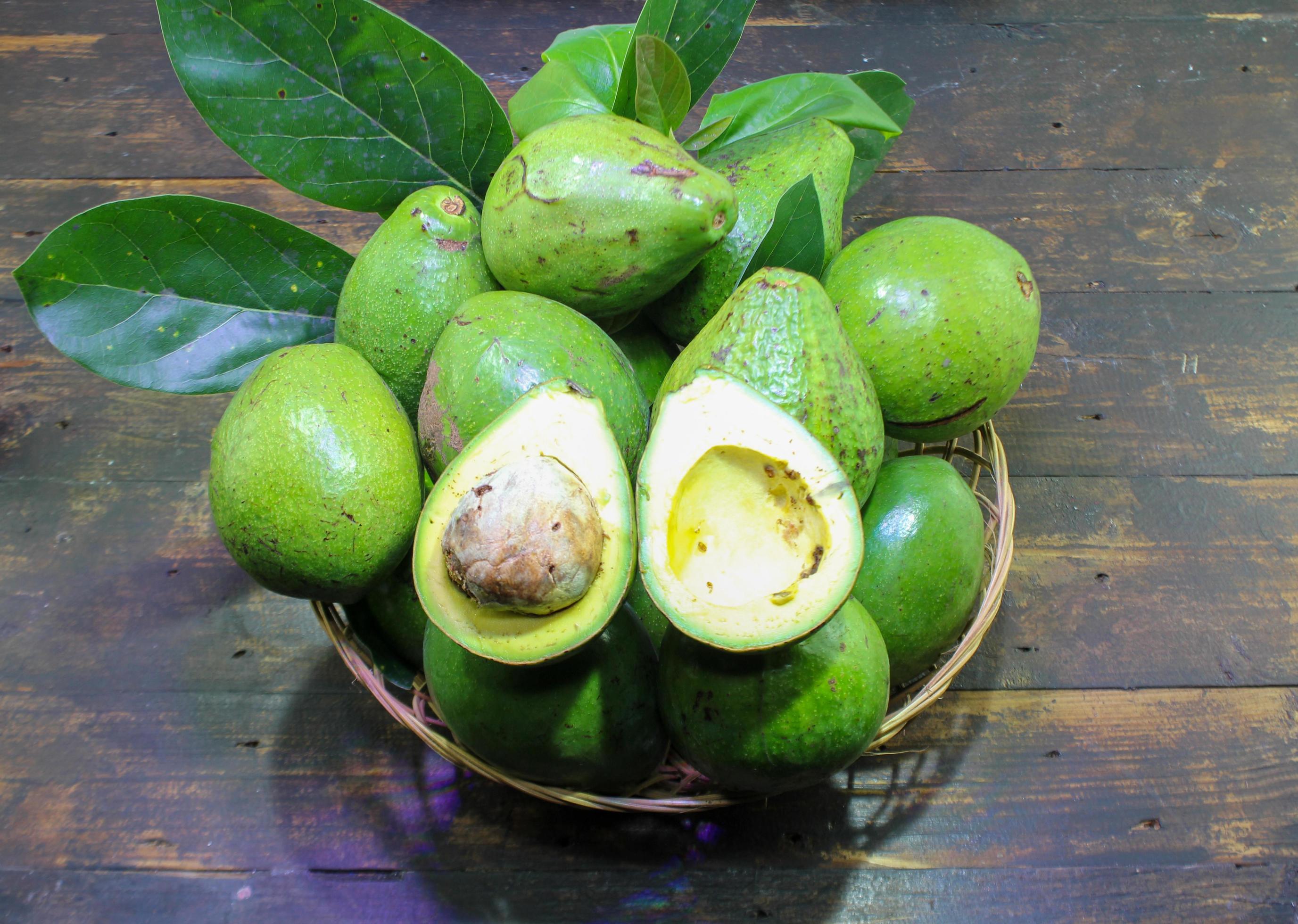 Group Of Green Fresh Avocado fruits, Healty Natural Food Stock Free