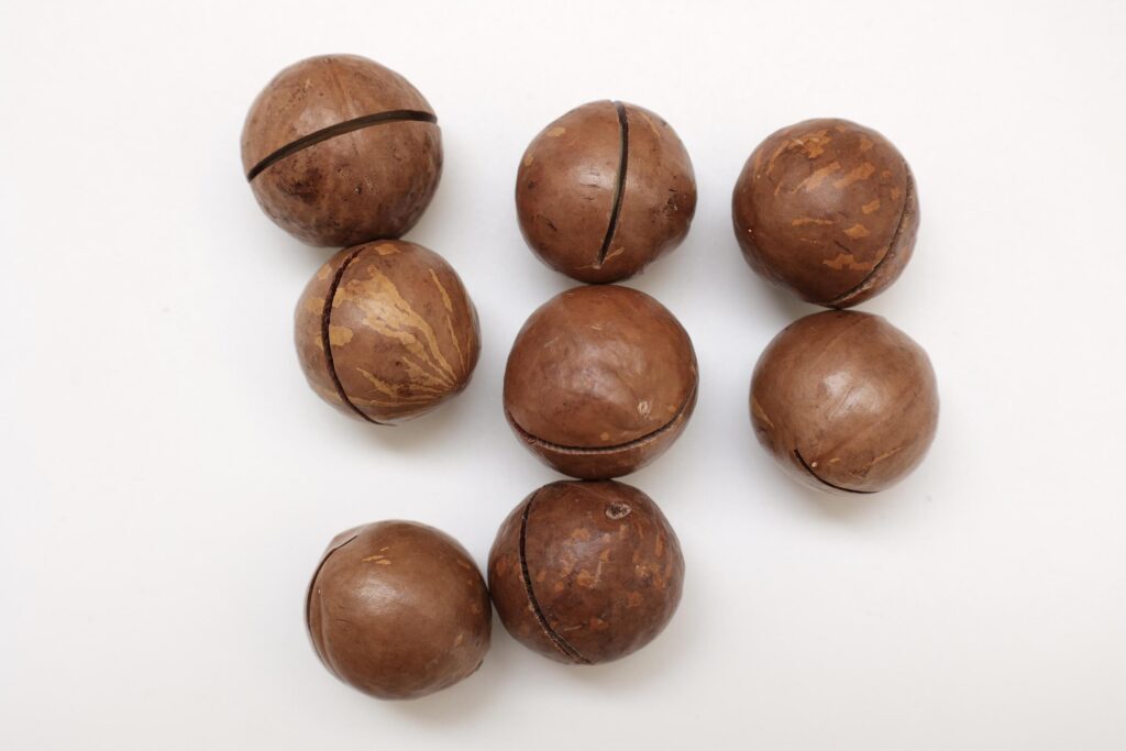 Macadamia nuts seeds background Stock Free