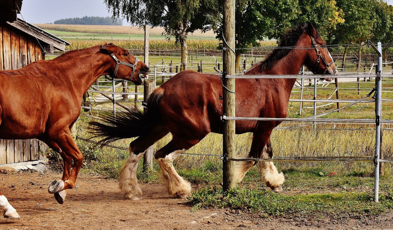 Agriculture Stock Free