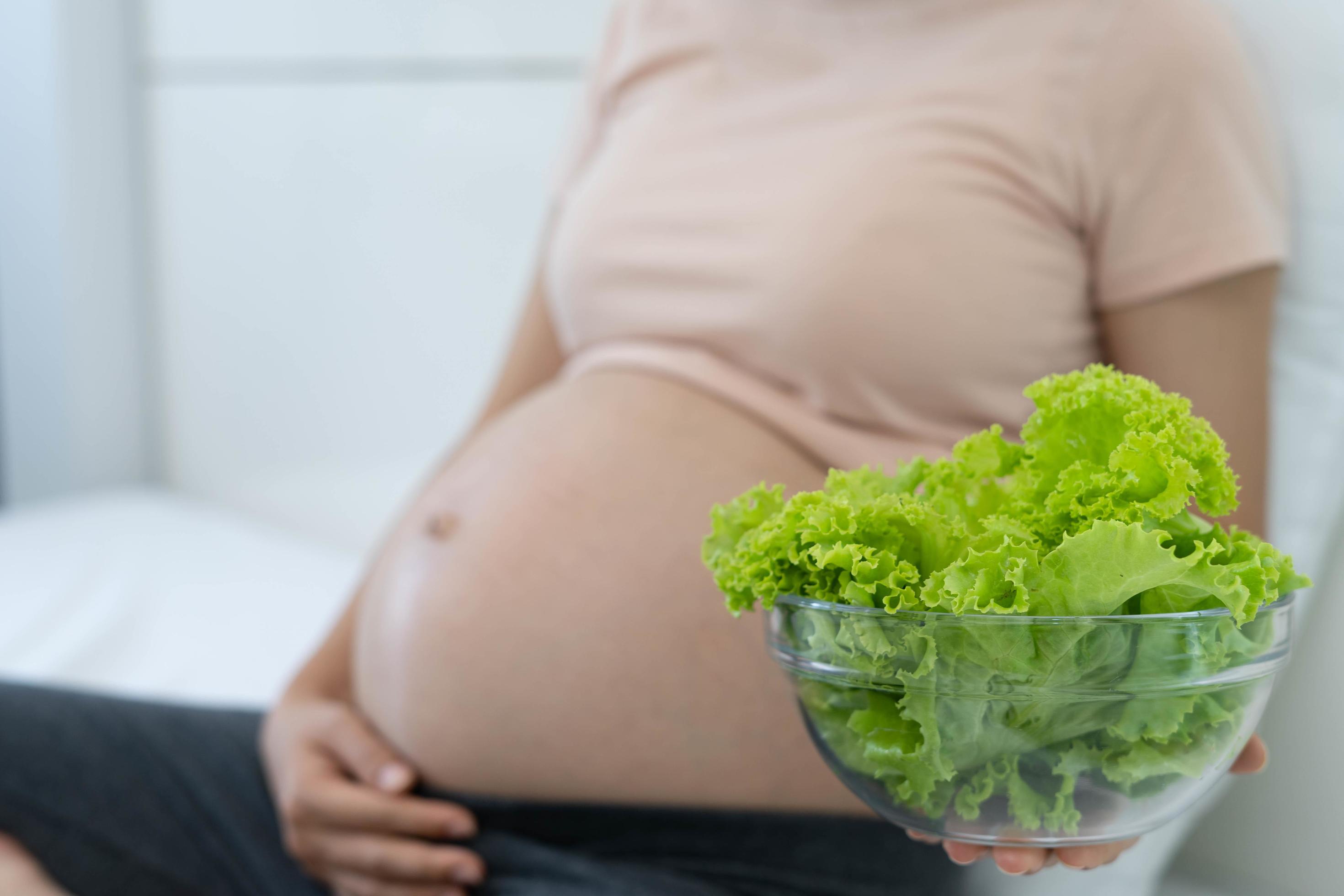 A pregnant woman holds a cup of green vegetables. Eating healthy food for the unborn child Stock Free