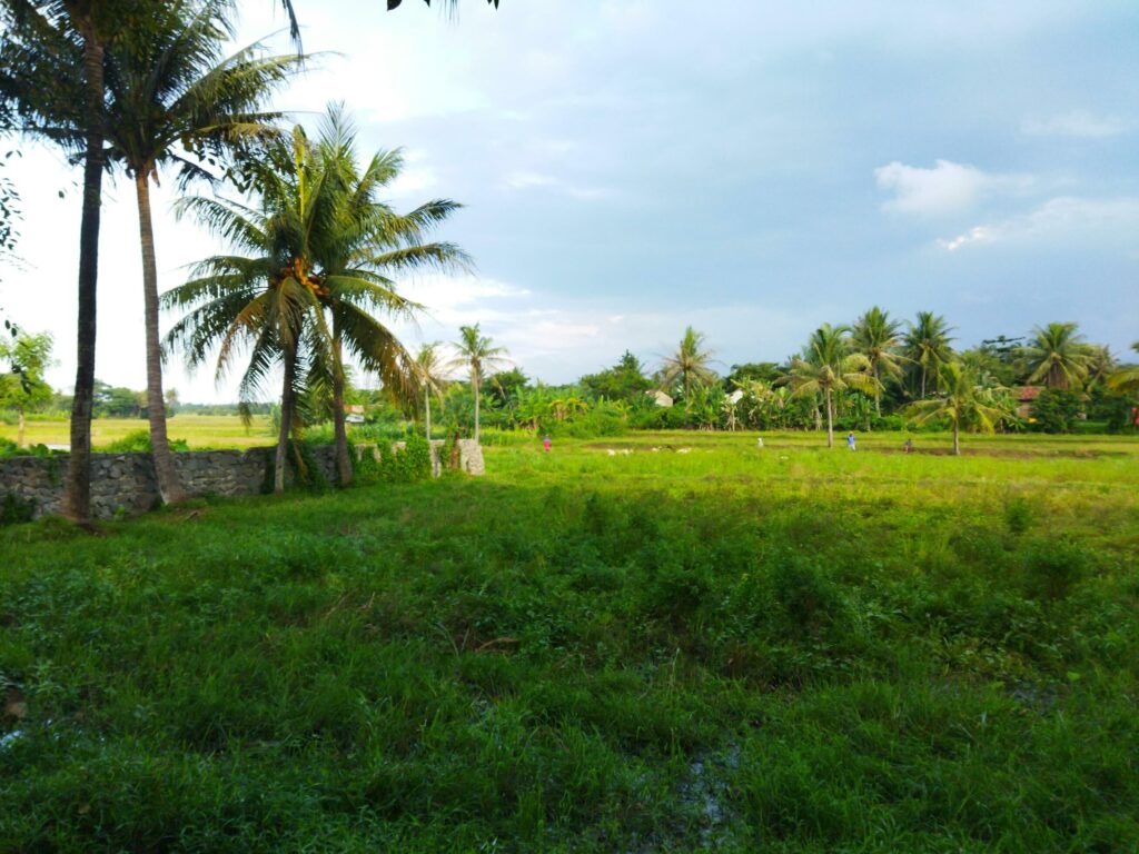 The beauty of rural nature in the afternoon. Fields and clouds. Stock Free