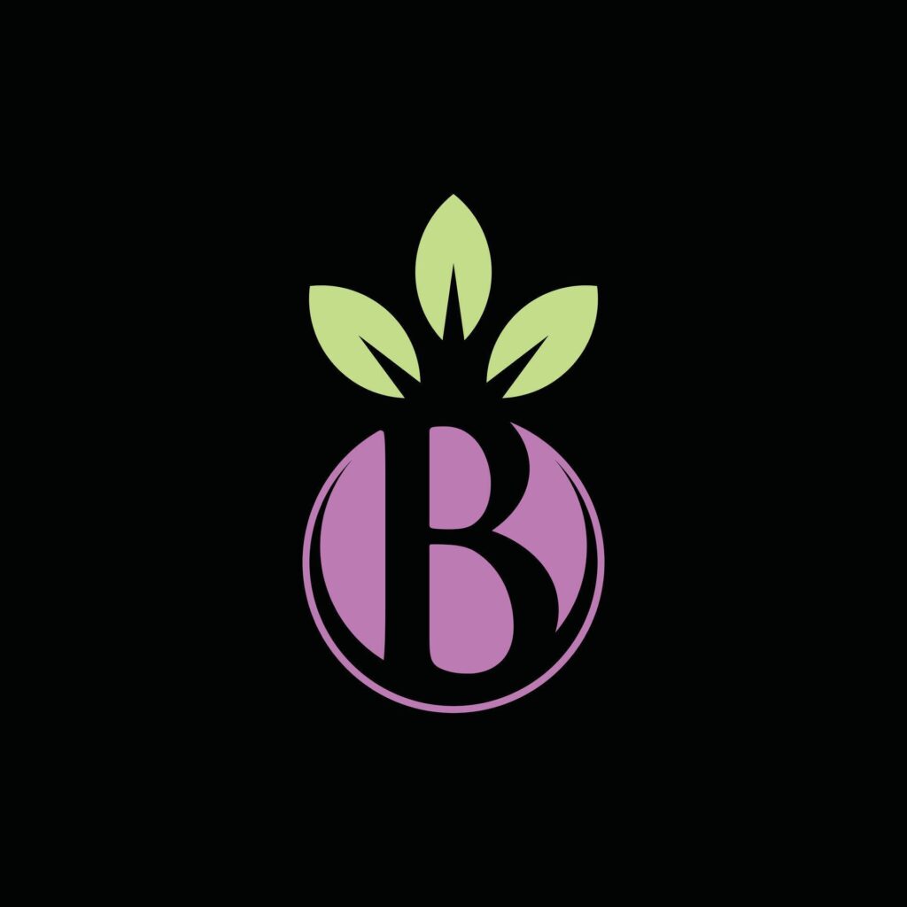 Berry fruit with Letter B simple icon design template, logo on black background Stock Free