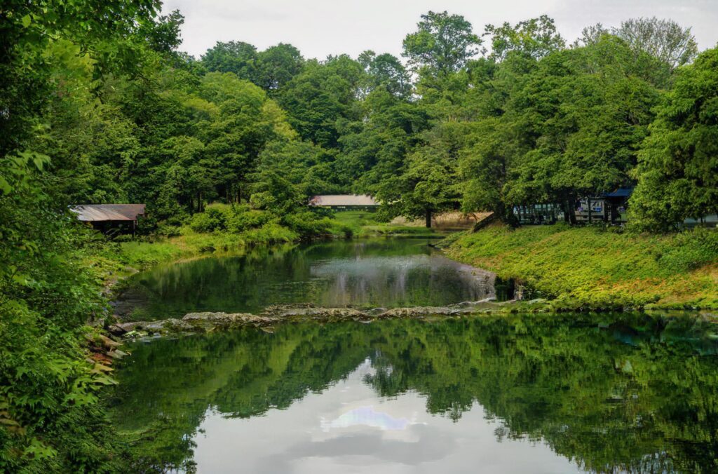 Beautiful natural scenery of river in southeast Asia tropical green forest. Stock Free