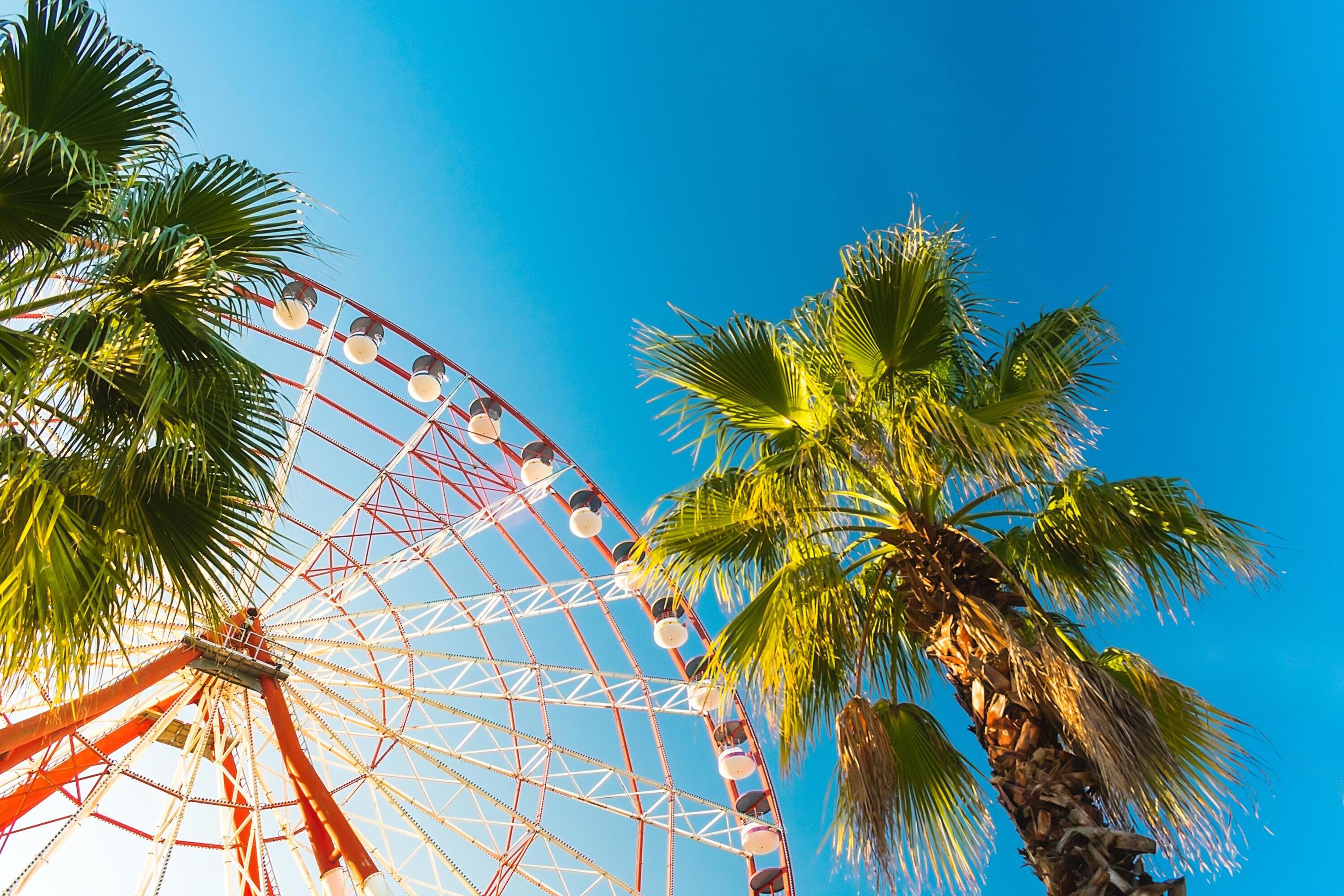 View of the Ferris wheel attraction against a background of blue sky between palm trees. Ferris wheel in the Georgian city of Batumi. Stock Free