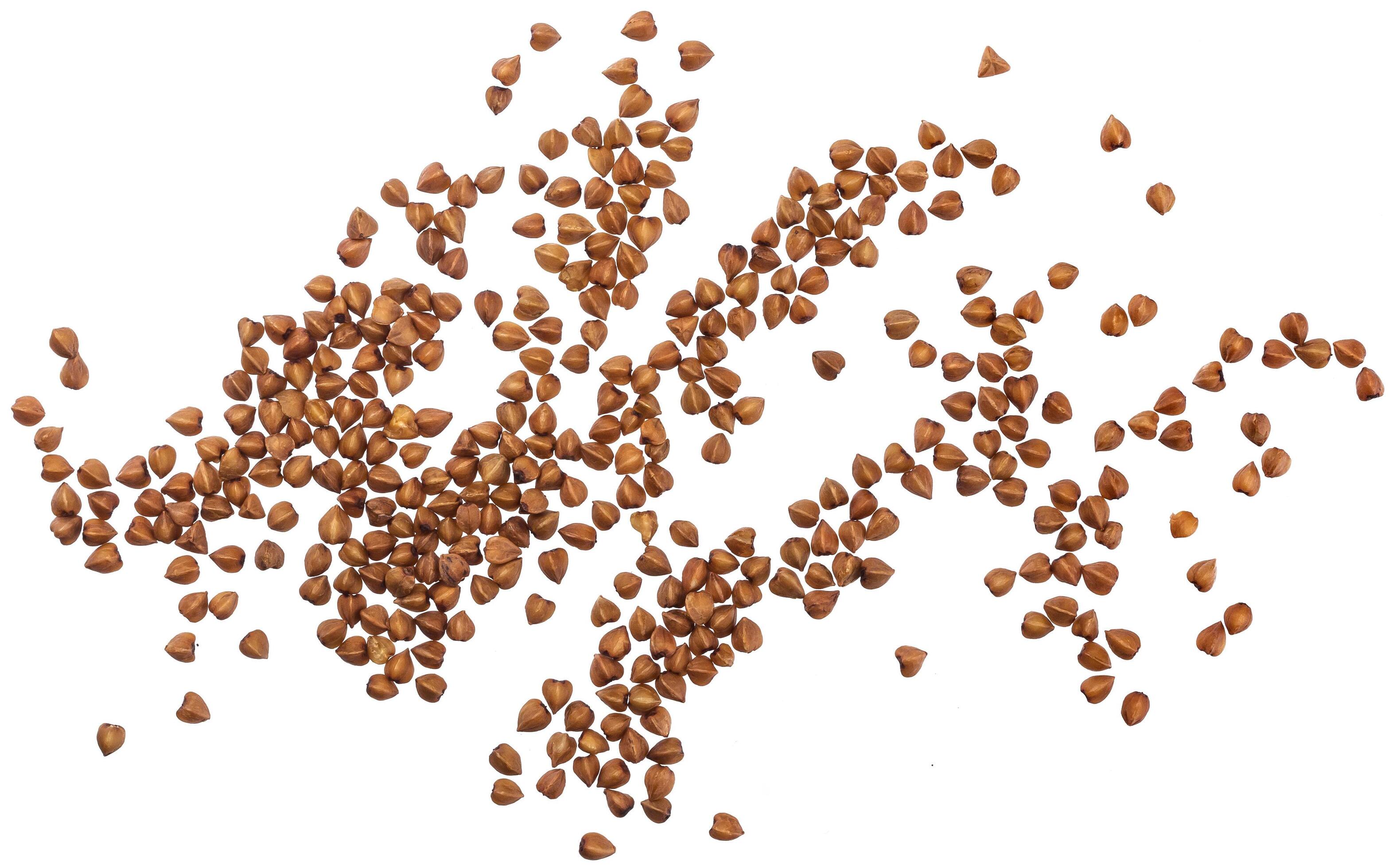 Close up of buckwheat grains isolated on white background. Top view Stock Free