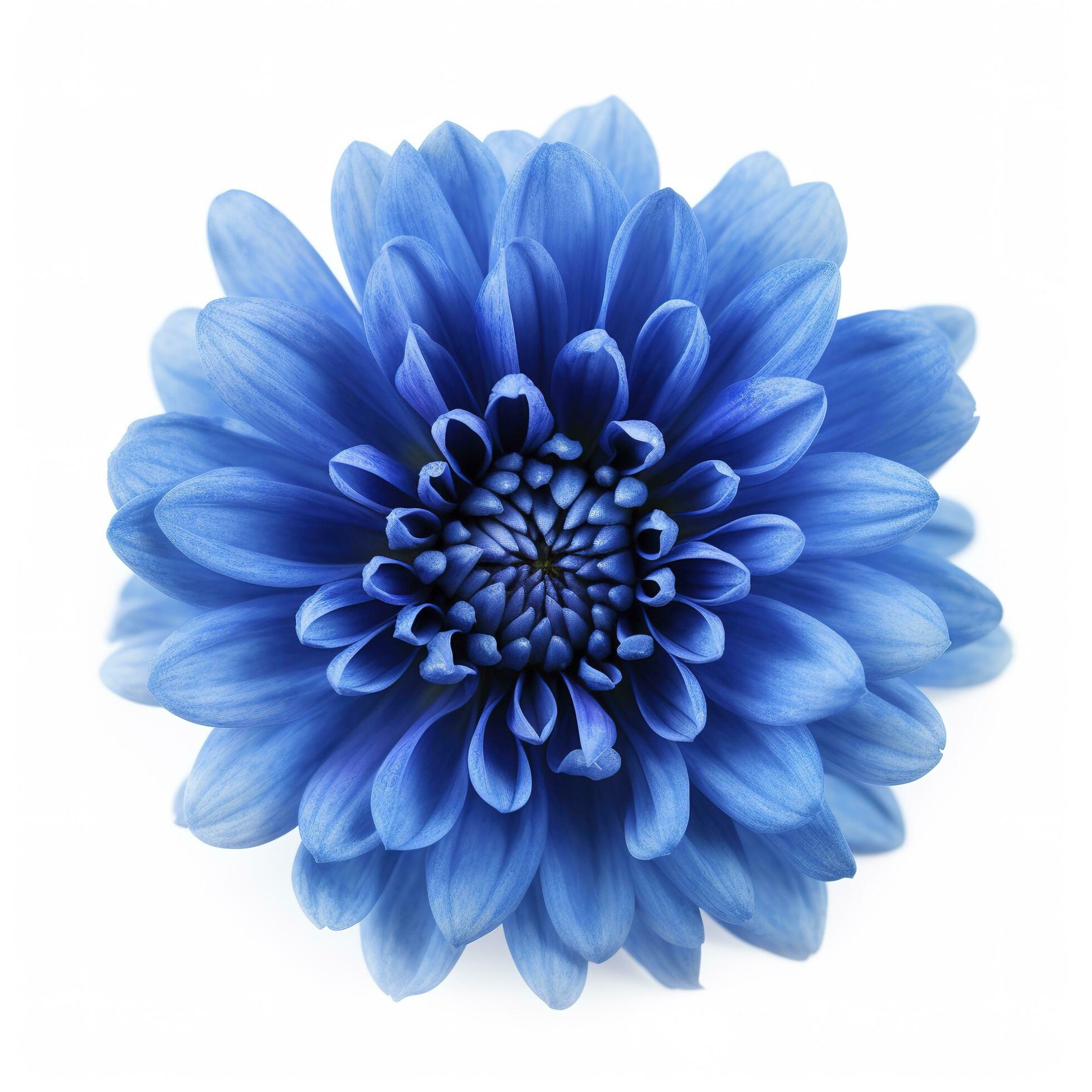 Blue flower isolated on white background, generate ai Stock Free