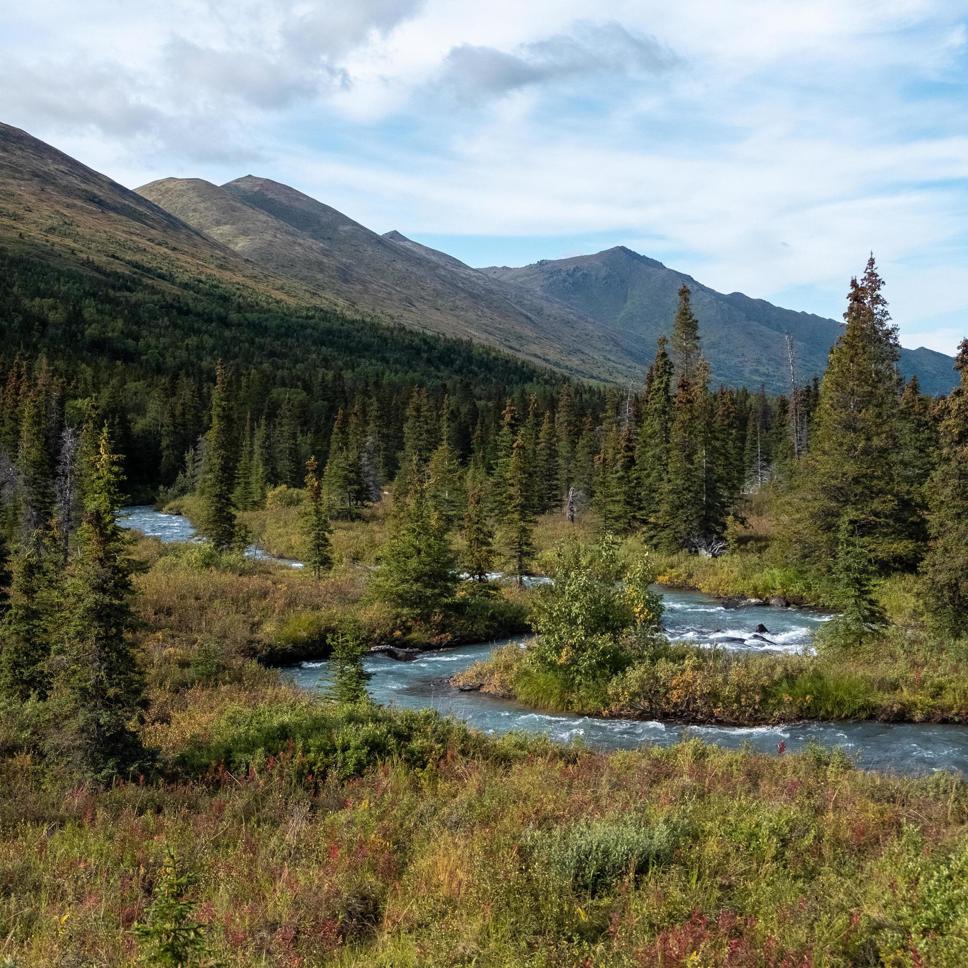 Nature landscape in Alaska Stock Free