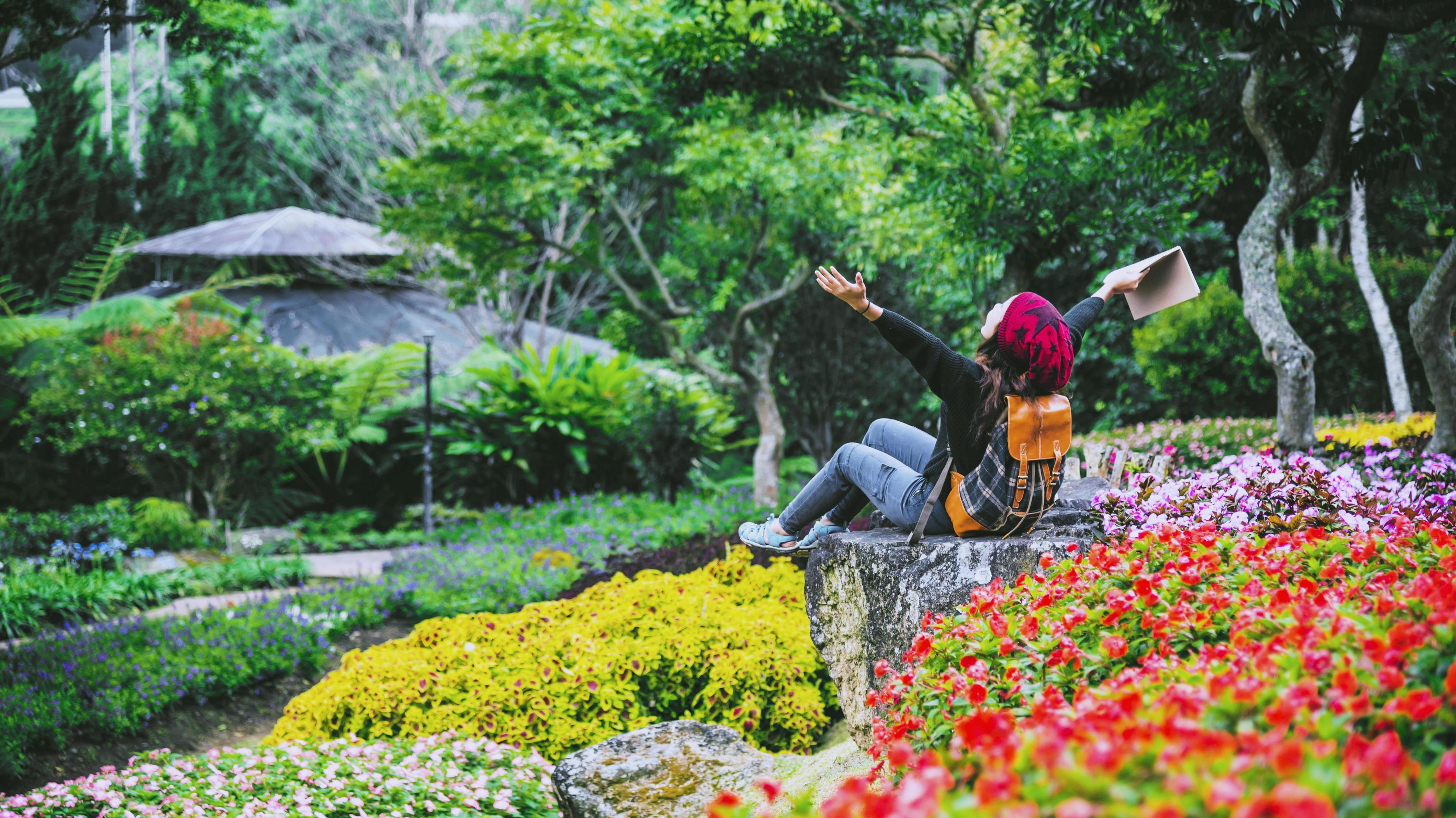 woman travel nature in the flower garden. relax sitting on rocks and reading books In the midst of nature at national park doi Inthanon. Stock Free