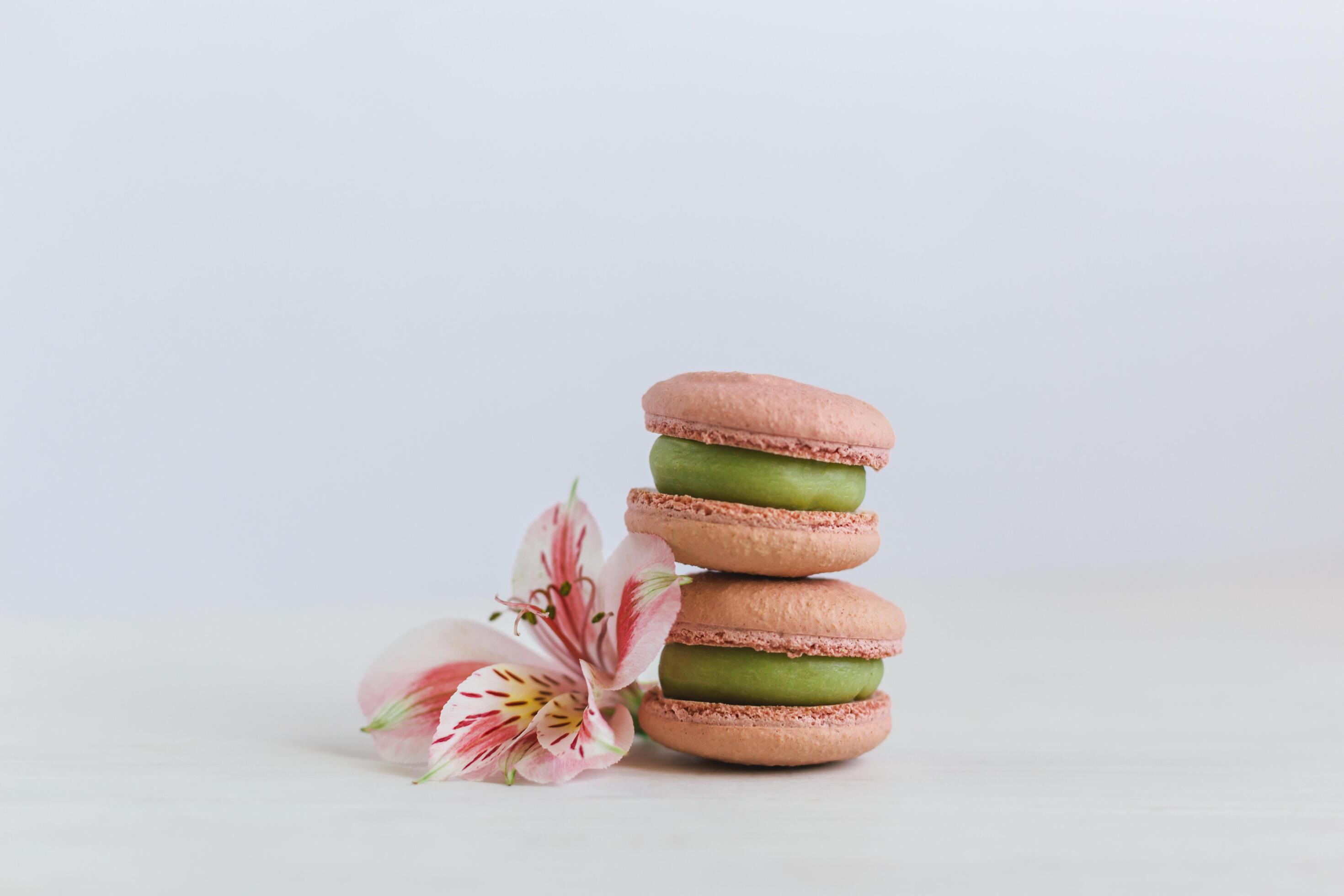 Two tasty French macarons with pink flower on a white background. Stock Free