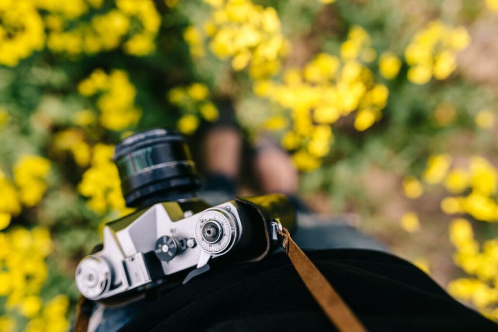 
									Woman with vintage camera in the field of blooming rapes Stock Free