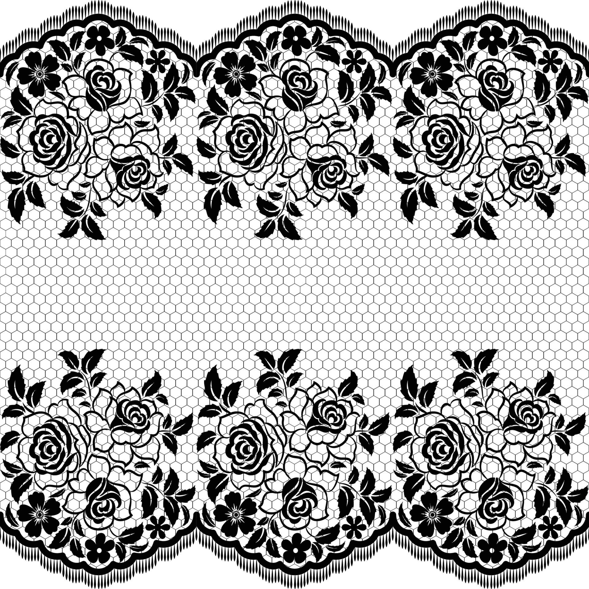 Abstract seamless lace pattern with flowers Free Vector