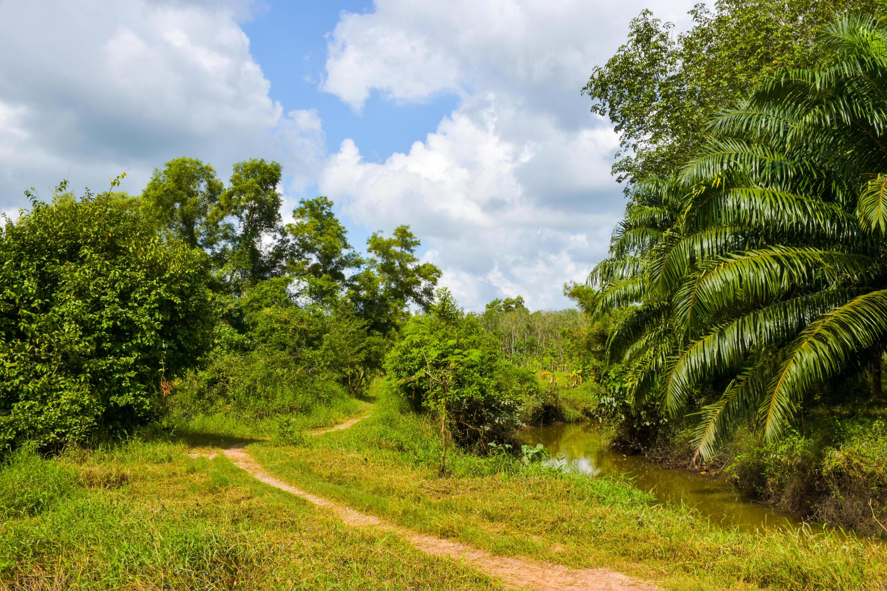 road in the county and beauty nature Stock Free