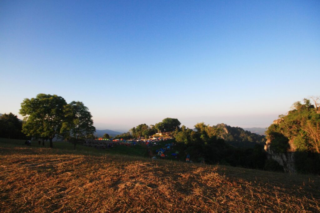 Beautiful landscape of colorful tents and camping on green grass of mountain and natural fog in twilight with sunrise on valley hill Stock Free