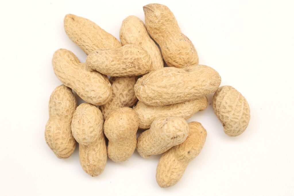 Peanut on white background Stock Free