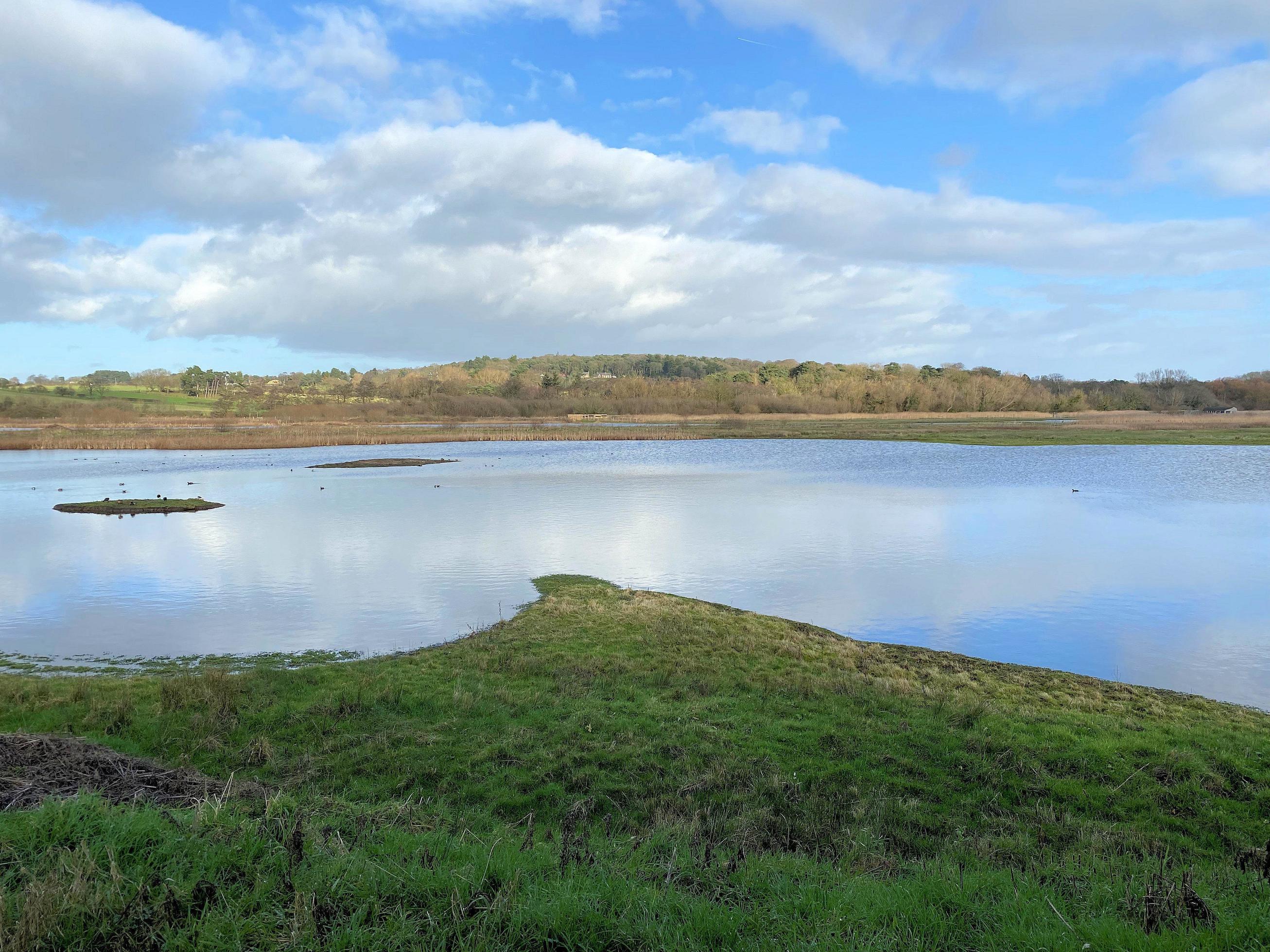 A view of Burton Mere Wetlands Nature Reserve Stock Free